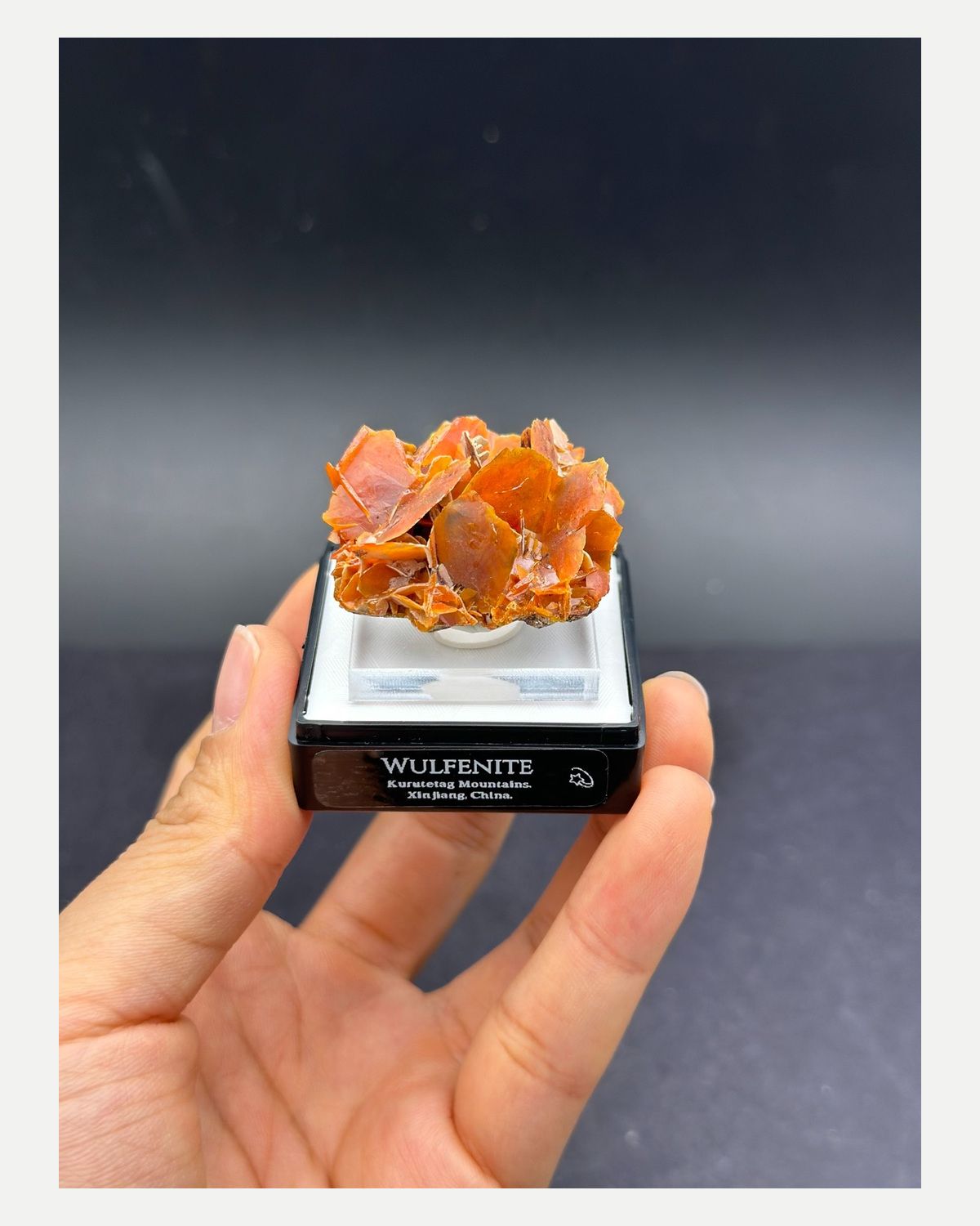 Complete front view of the orange wulfenite flower cluster from the Kumtag Mountains