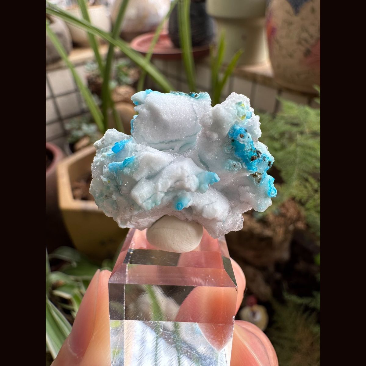 Blue-White Popcorn Gibbsite 4.0 cm — complete view