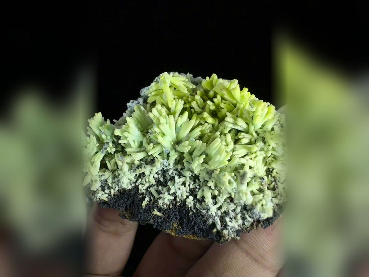 Two Tone Pyromorphite Crystal Spray 6.5 cm, Collector Mineral Specimen — complete view