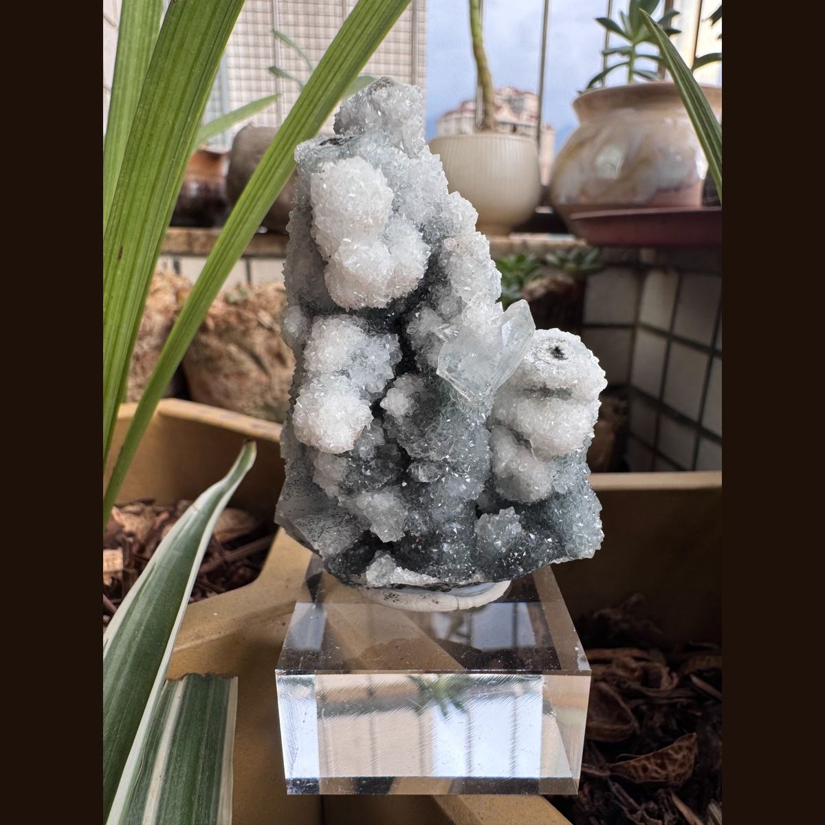 White Apophyllite with Quartz India 7.0 cm — complete view