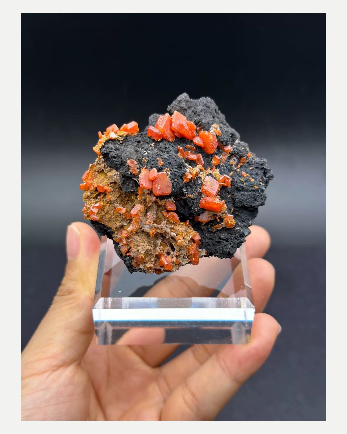 Complete front view of orange wulfenite on dark matrix from Kumutag