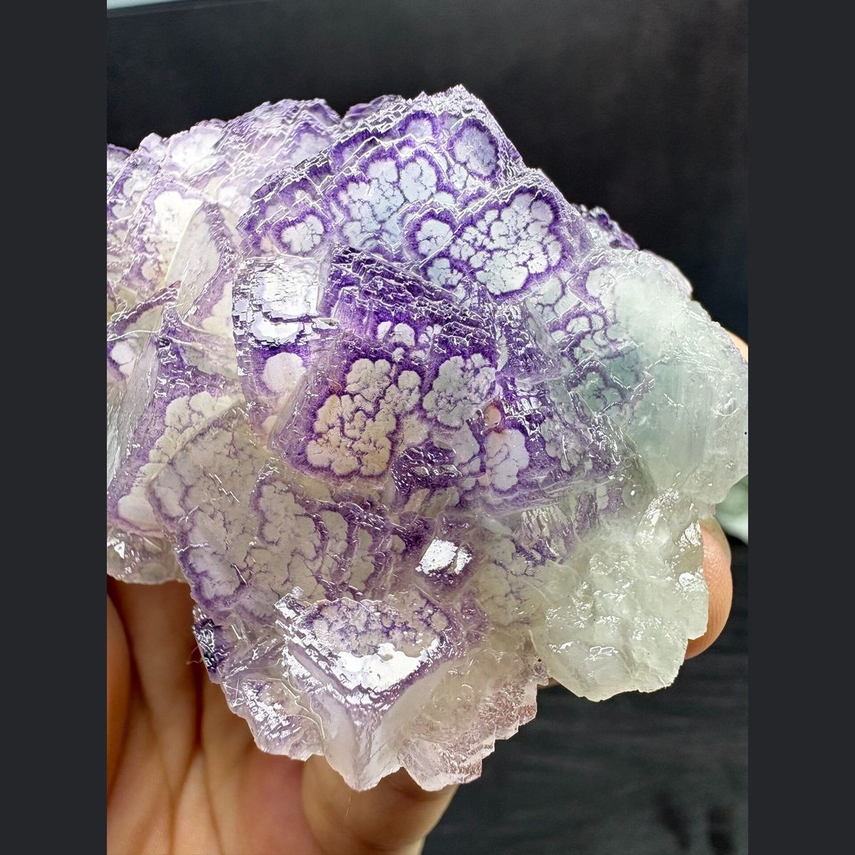 Fluorite with blue core and purple traced edges from Guizhou — complete view