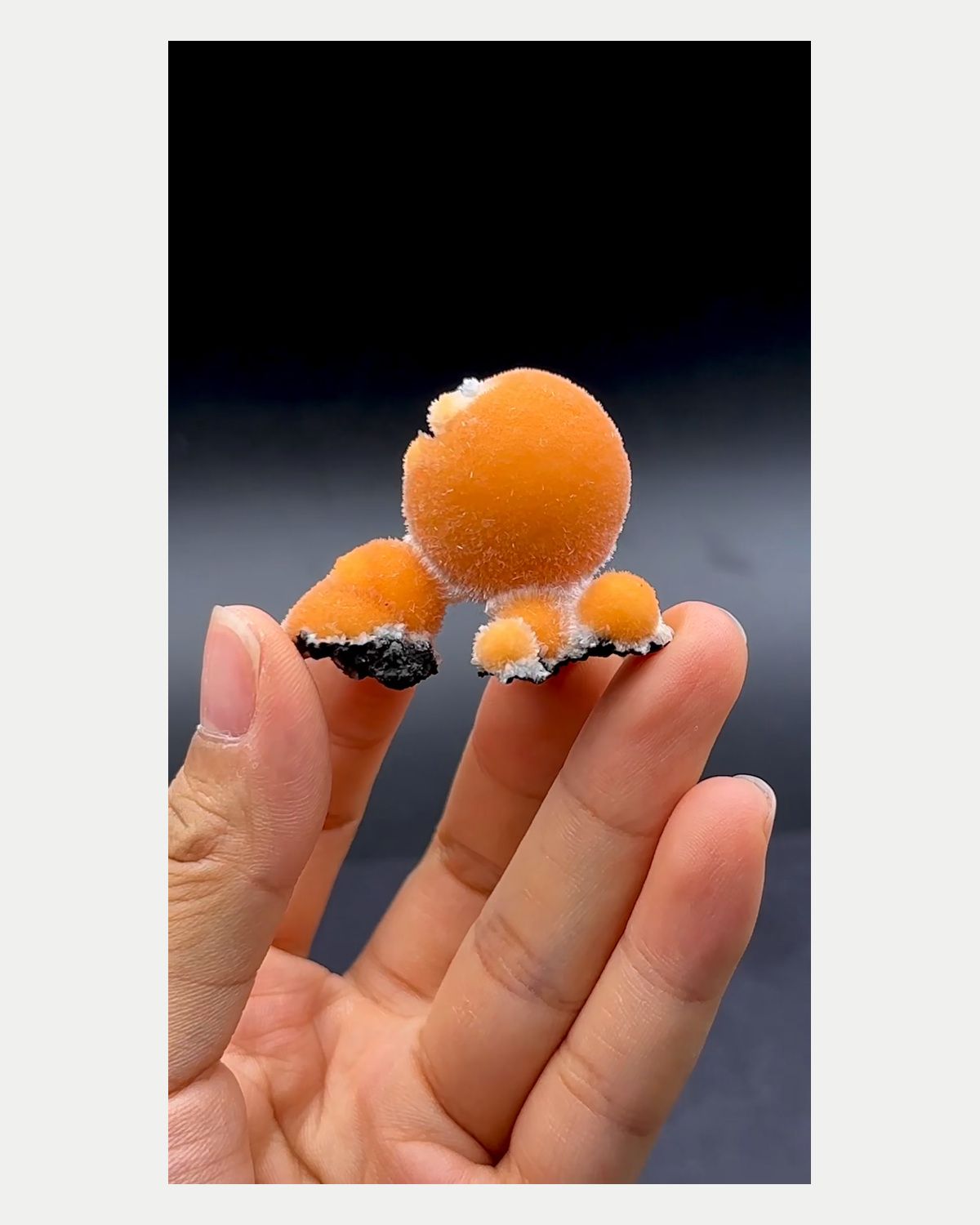 Complete front view of golden spherical zeolite cluster