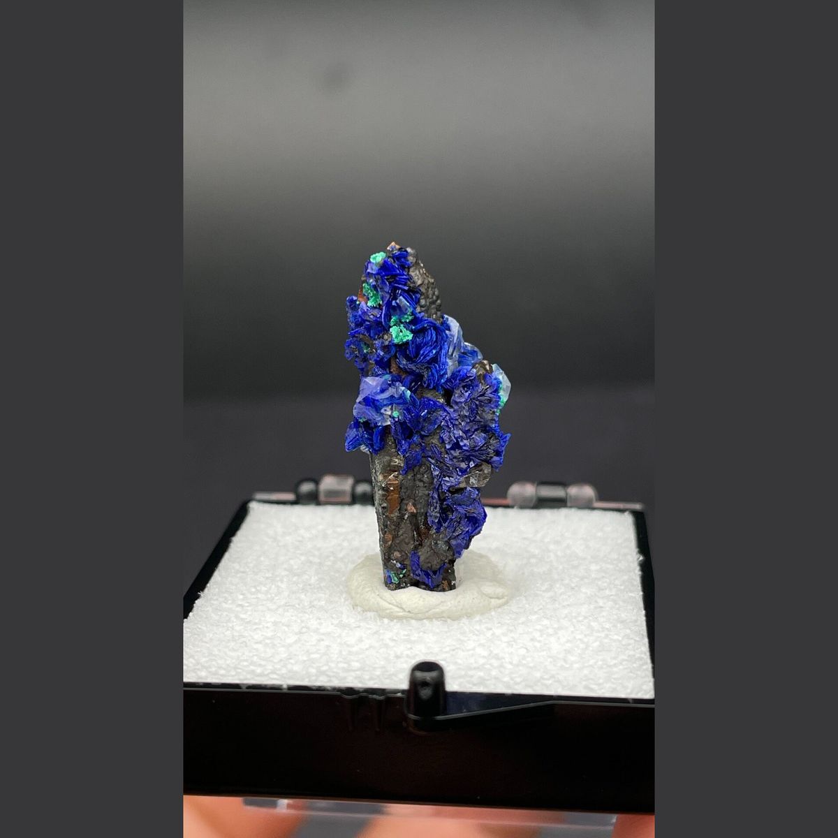 Deep blue azurite with malachite on limonite-coated quartz from Morocco — complete view