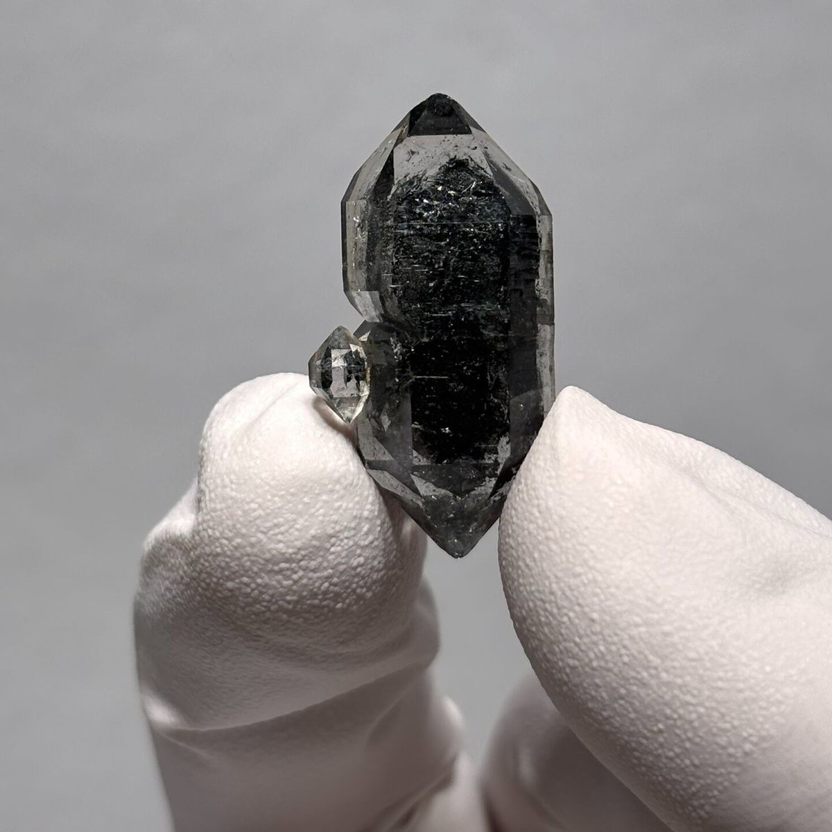 Tip-chip sugar-core DT Yunnan B — complete view