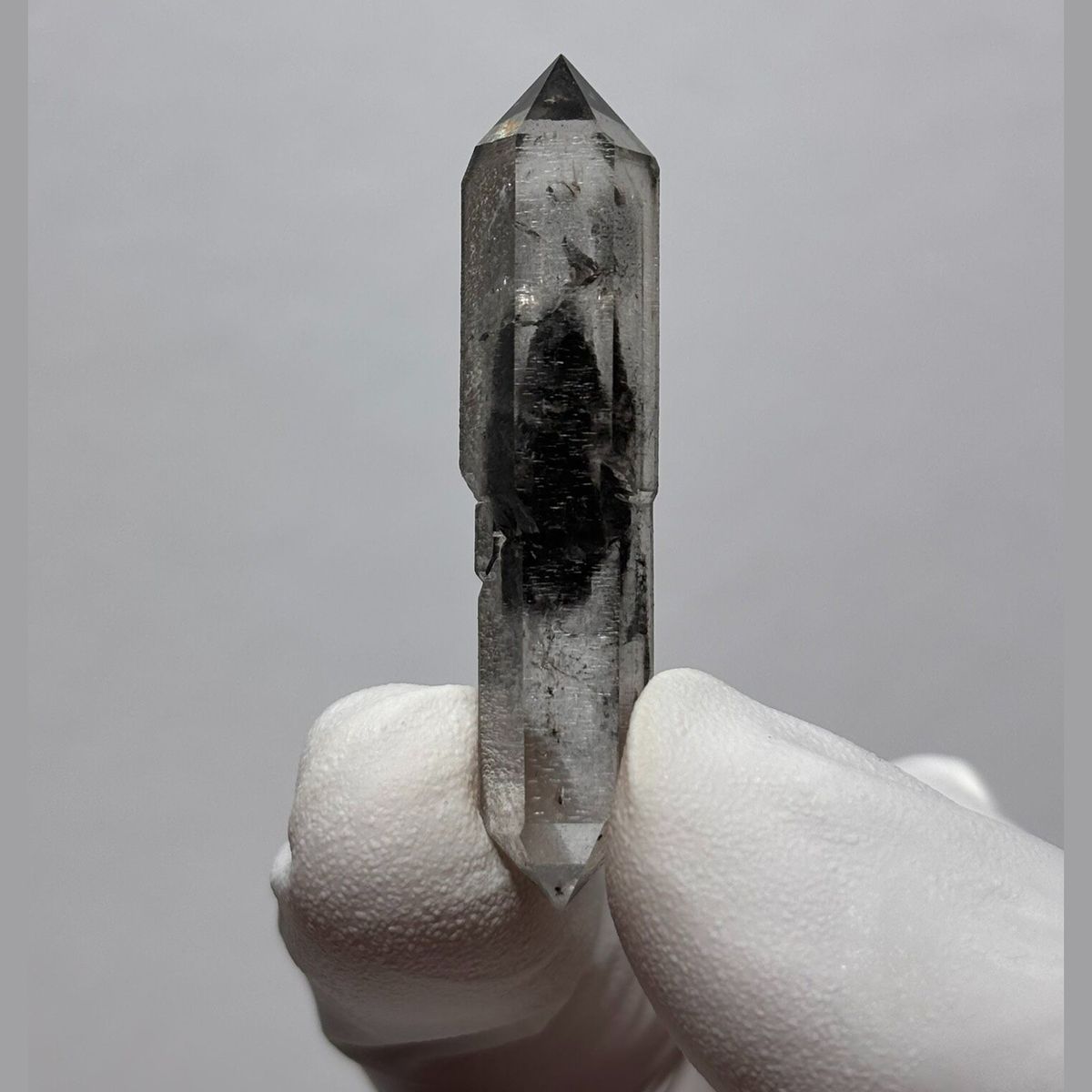 Complete sugar-core DT Yunnan F — complete view