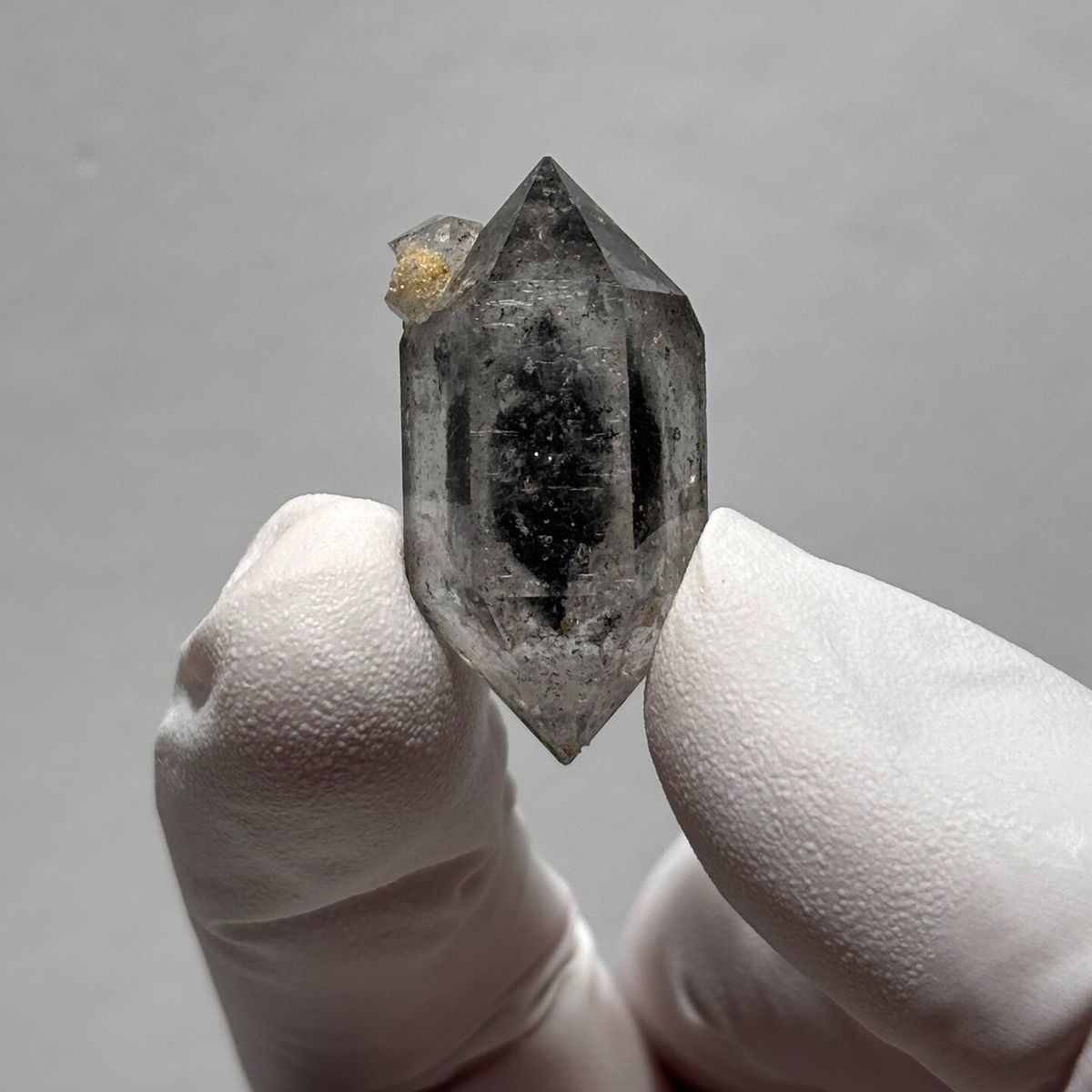 Complete sugar-core DT Yunnan L — complete view