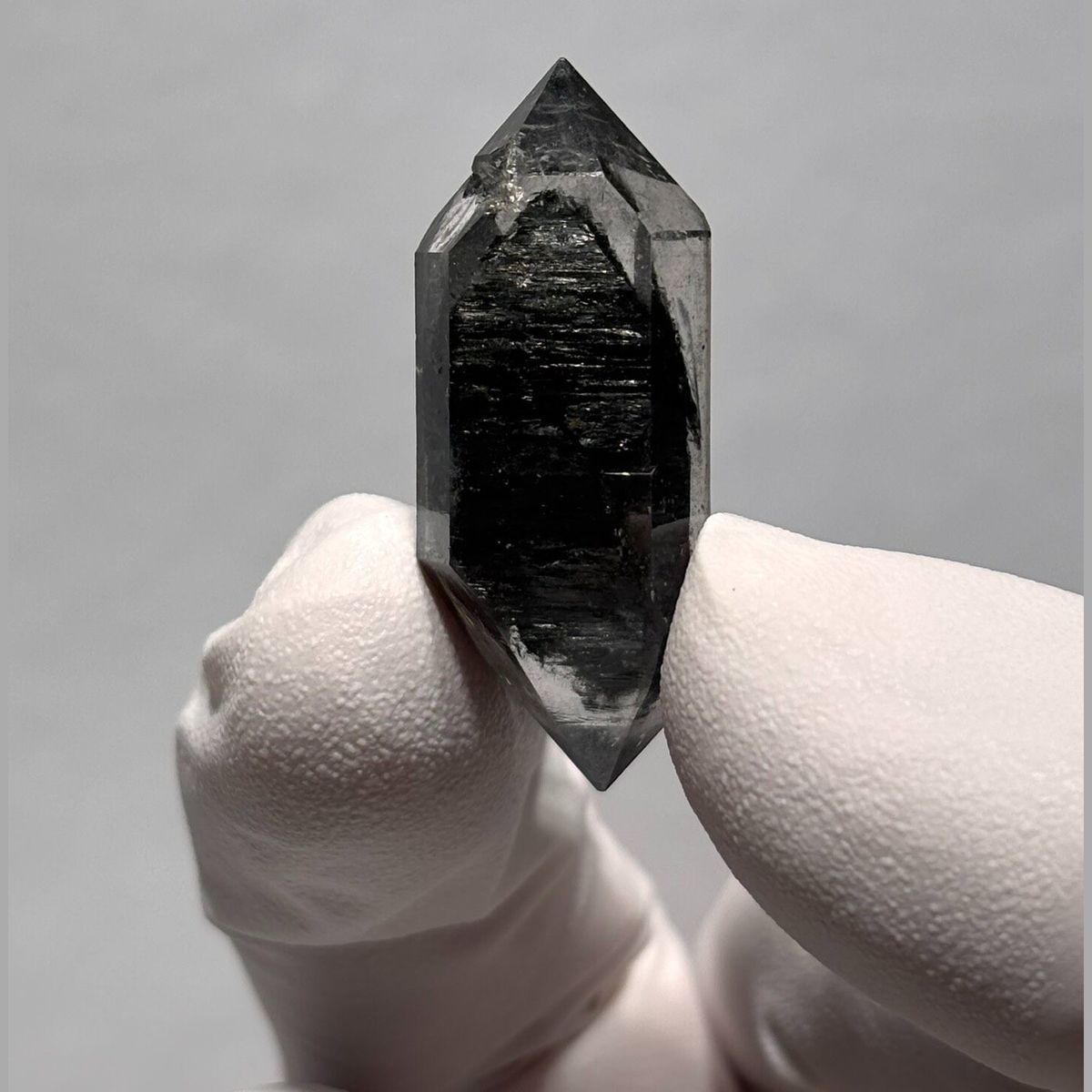 Complete sugar-core DT Yunnan M — complete view