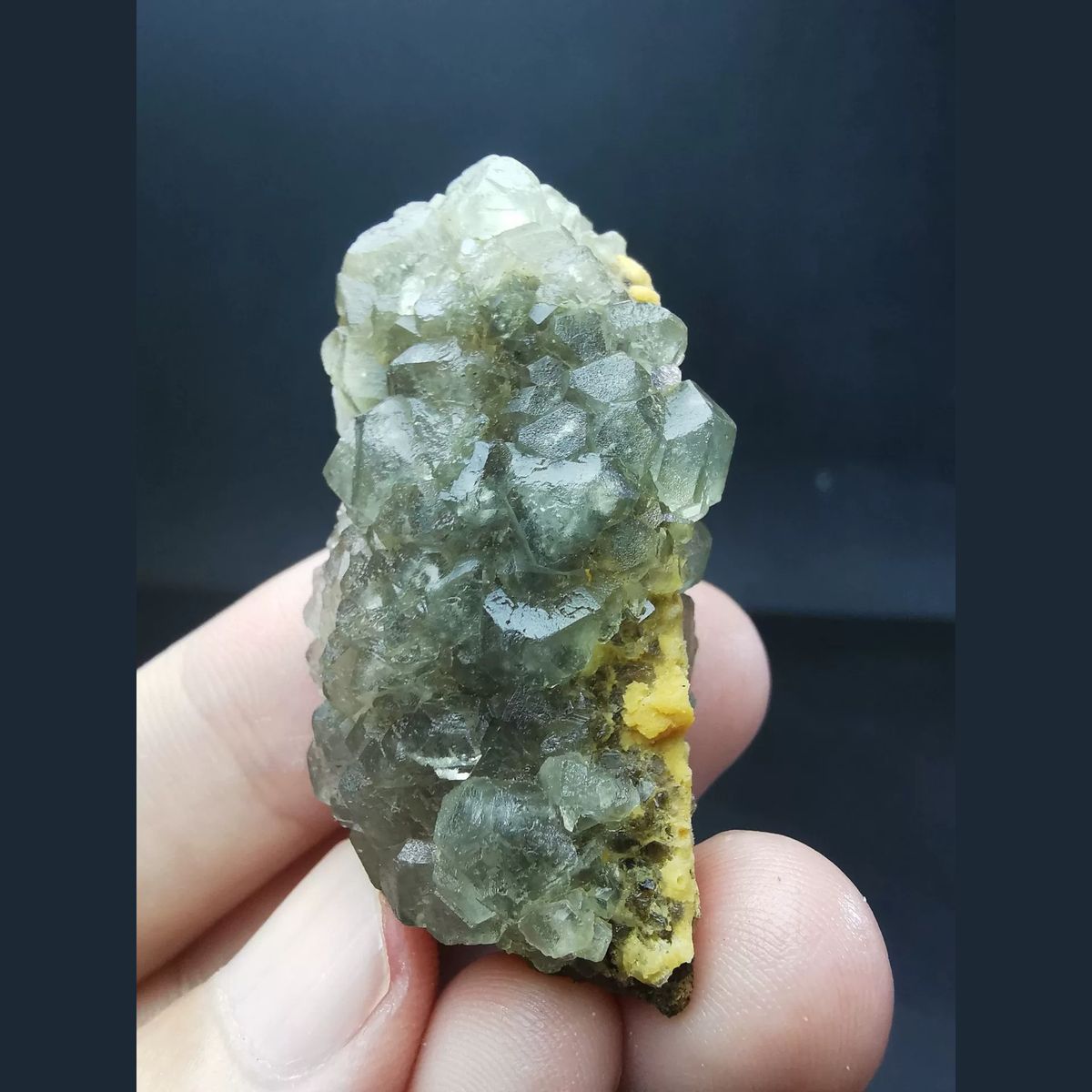 Pale green combined-form fluorite cluster — complete view