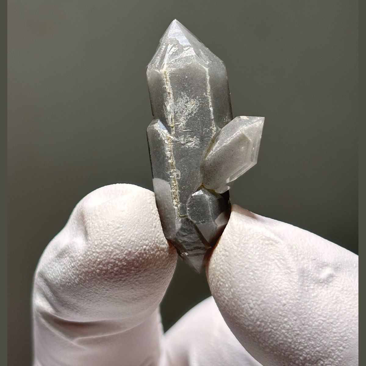 Tip-chip gray porcelain DT Yunnan — complete view