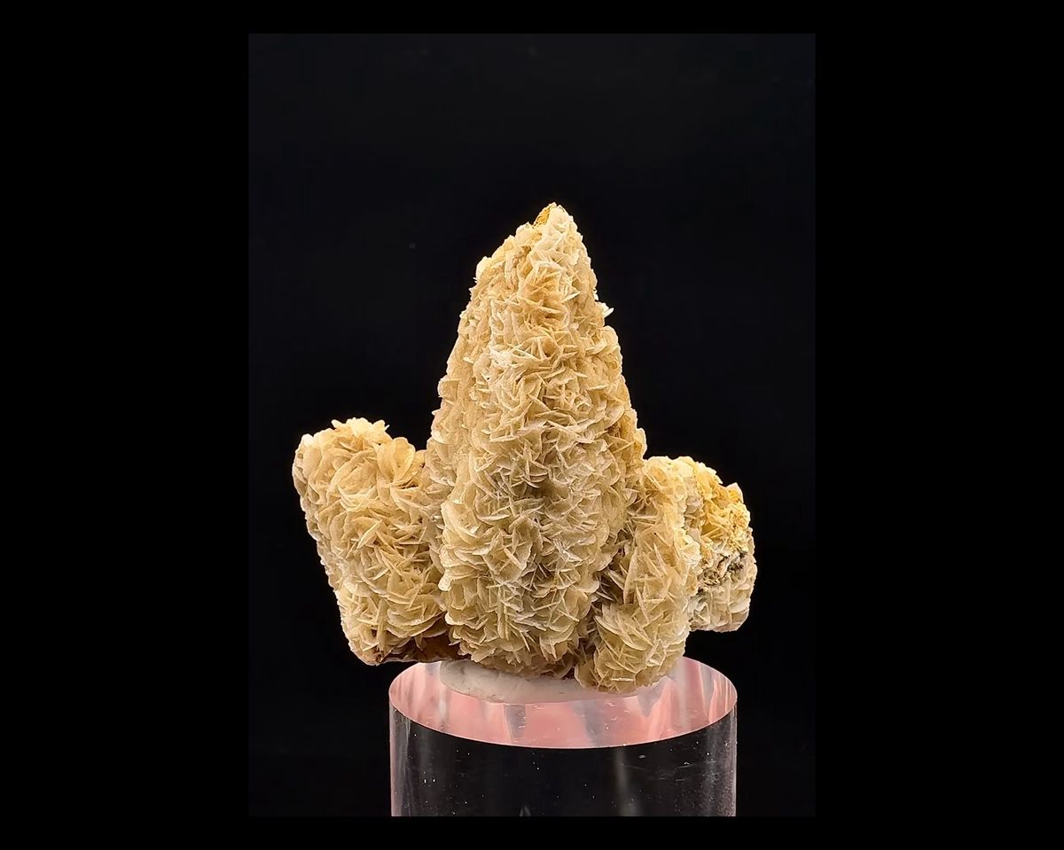 Complete front of yellow petal calcite over a tapered white calcite core, Inner Mongolia