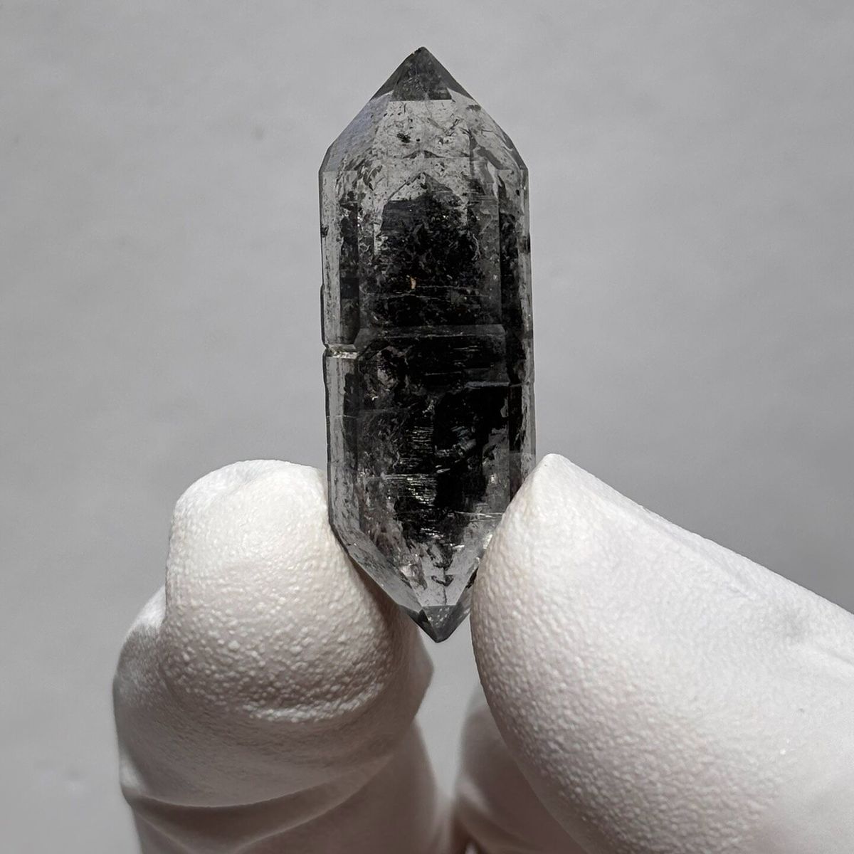 Sugar-core DT Yunnan AA — complete view