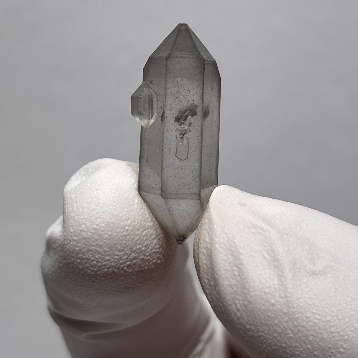 Flower-tip DT Yunnan X — complete view