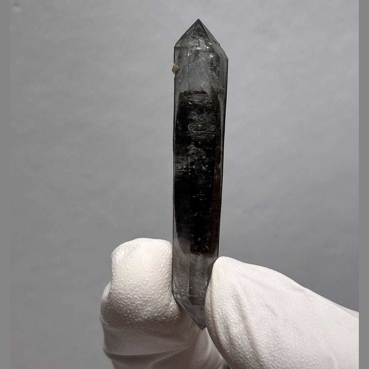 Sugar-core dt Yunnan 5.5 cm — complete view