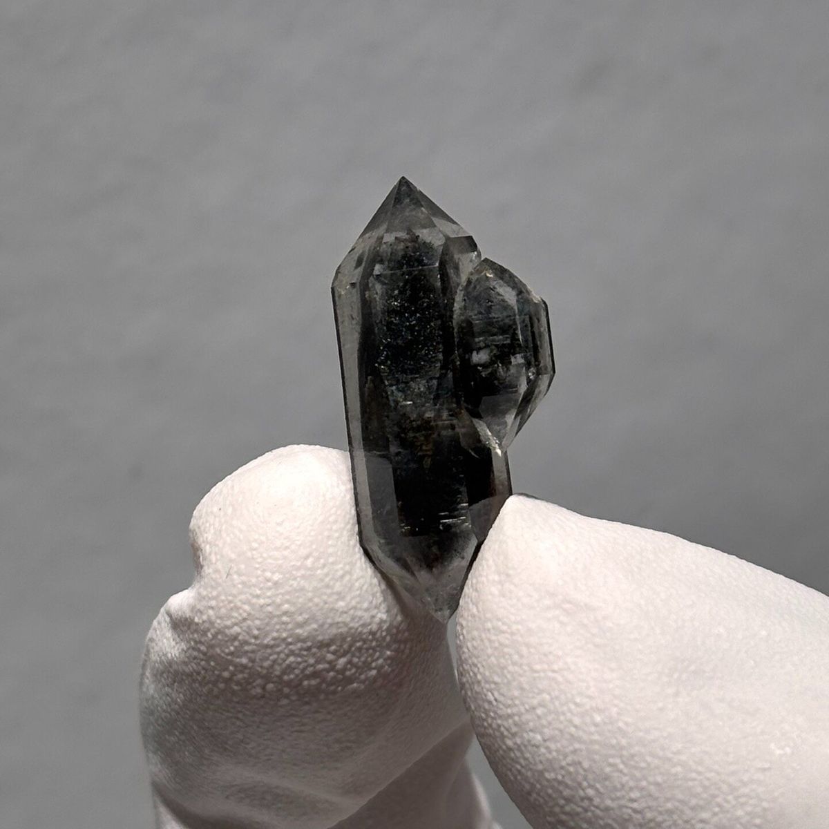 Sugar-core dt Yunnan 2.5 cm — complete view