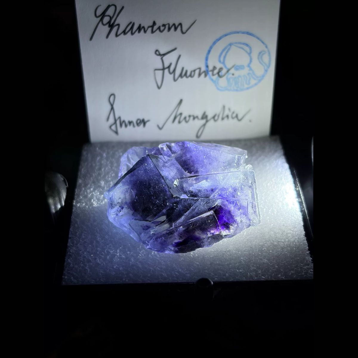 Blue-violet phantom fluorite from Yindu — complete view
