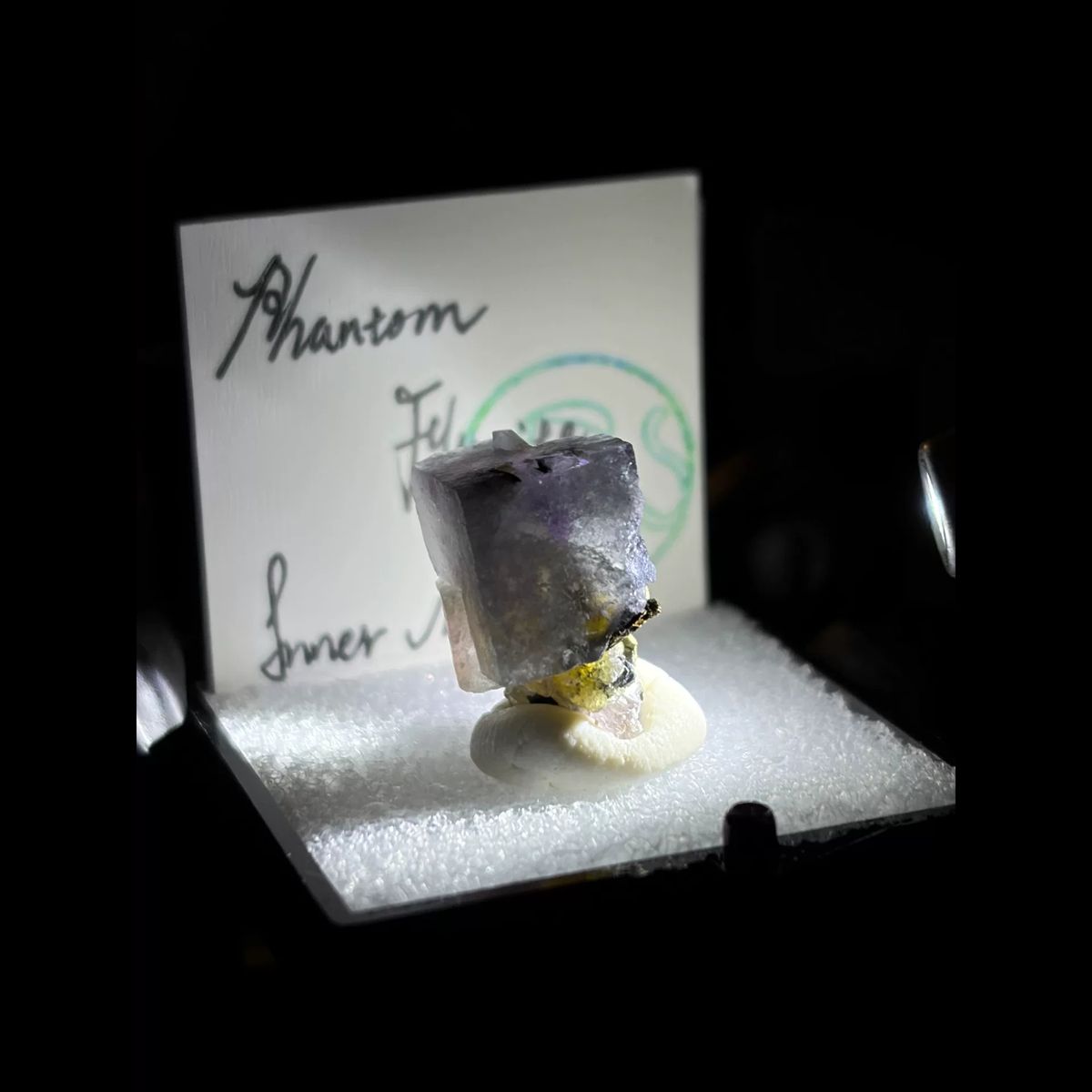 Porcelain phantom fluorite with pyrite — complete view