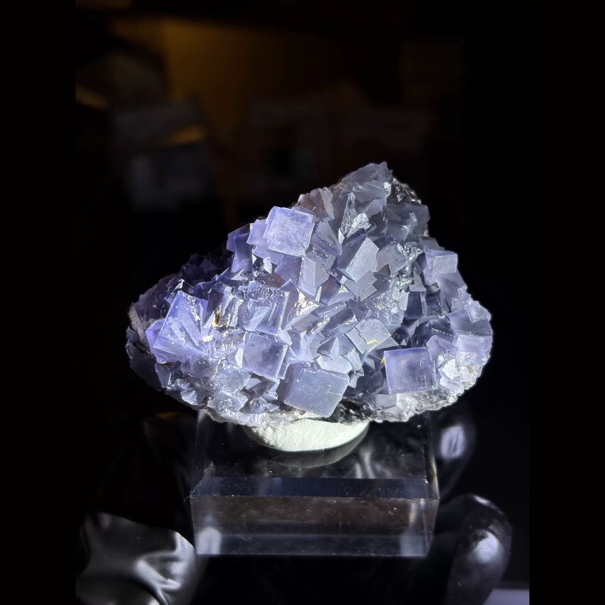 Black porcelain blue fluorite from Weishan — complete view