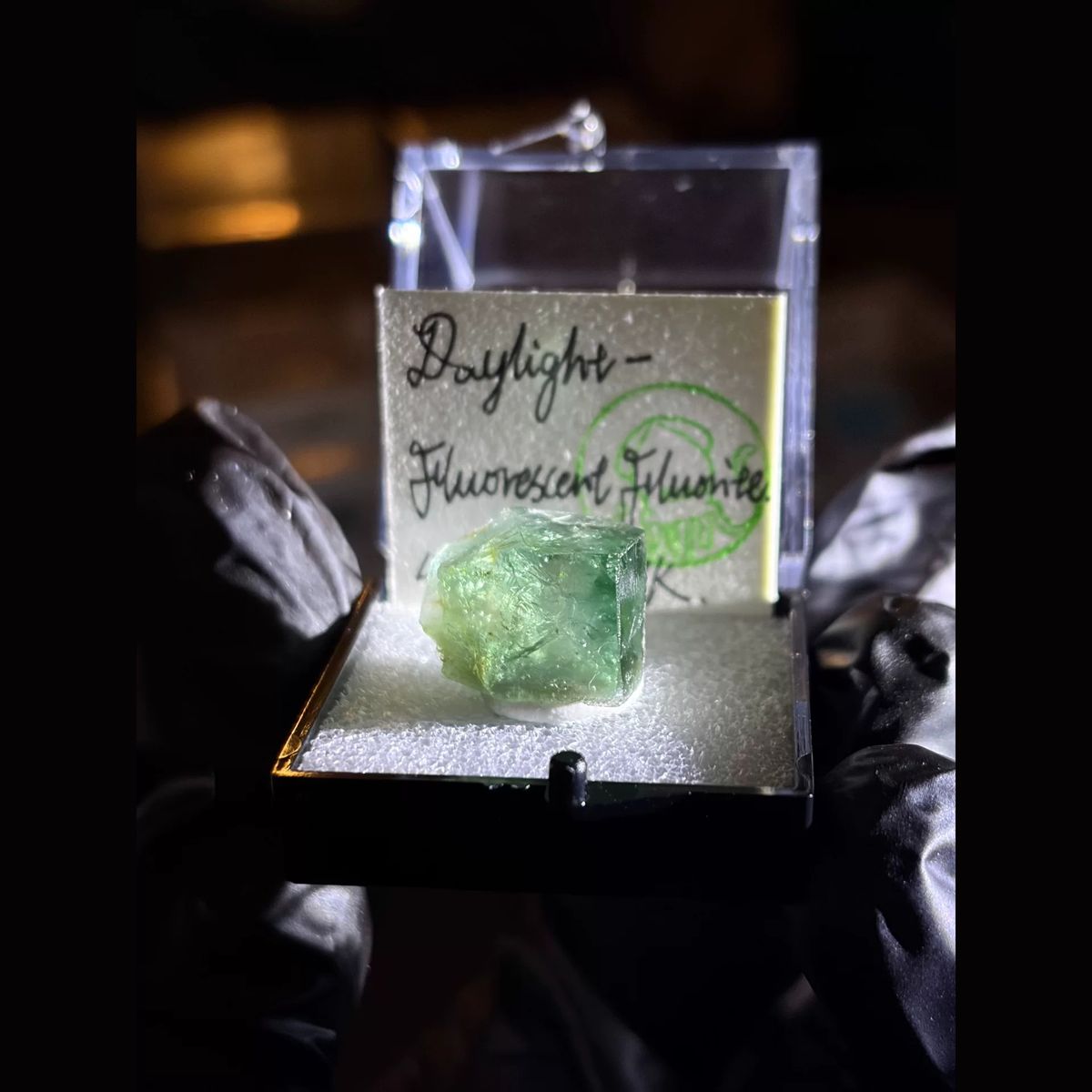 Green daylight fluorescent fluorite from the 42 Pocket — complete view