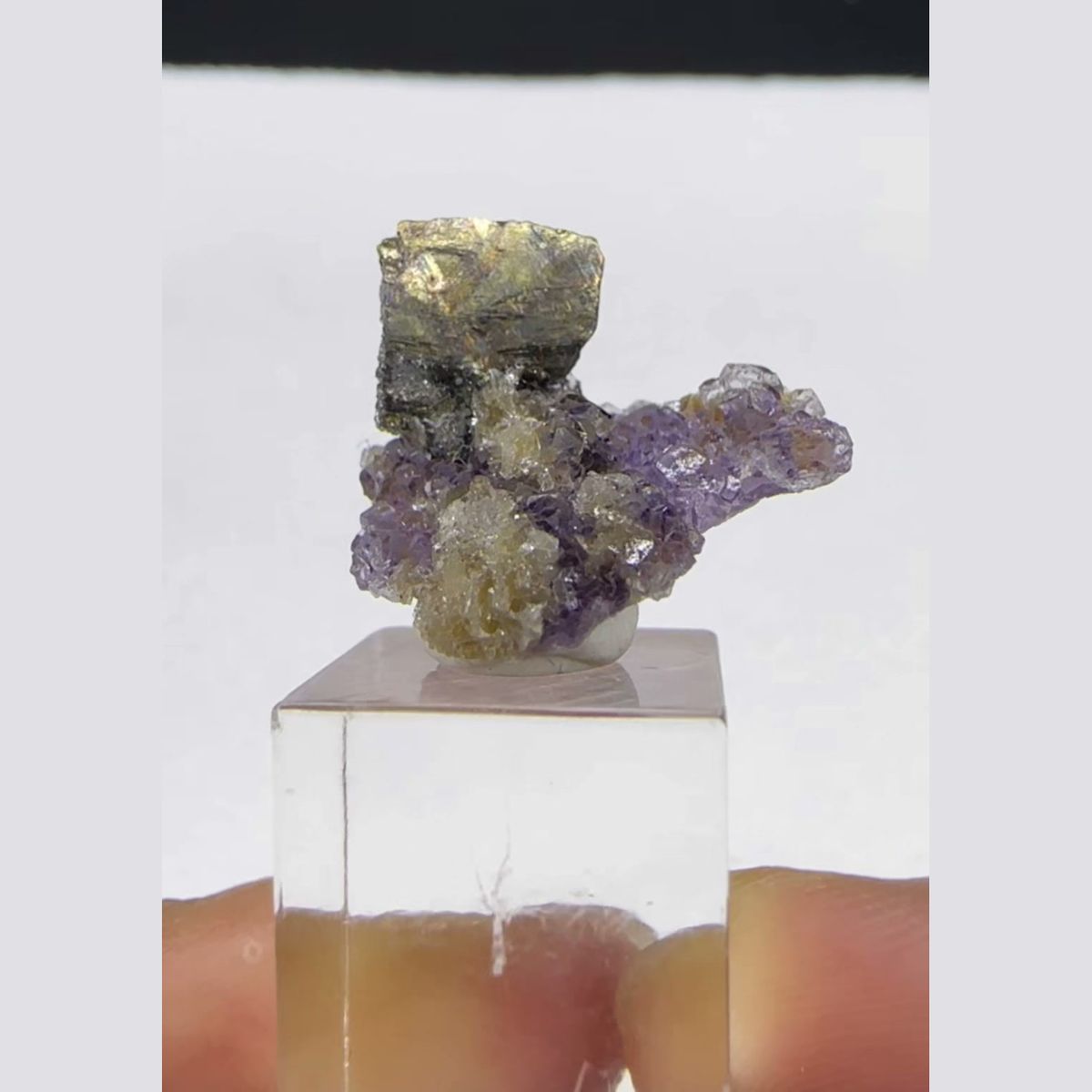 Iridescent Chalcopyrite on Fluorite Yaogangxian 1.7 cm — complete view