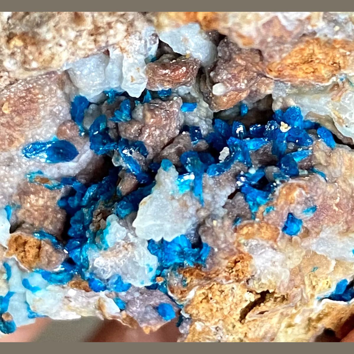 Deep blue veszelyite crystals on a tan matrix — complete view