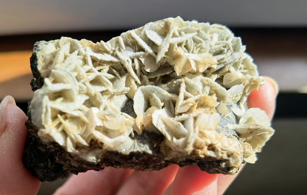 Green Petal Calcite Rosettes — Inner Mongolia — individual mineral specimen view 1