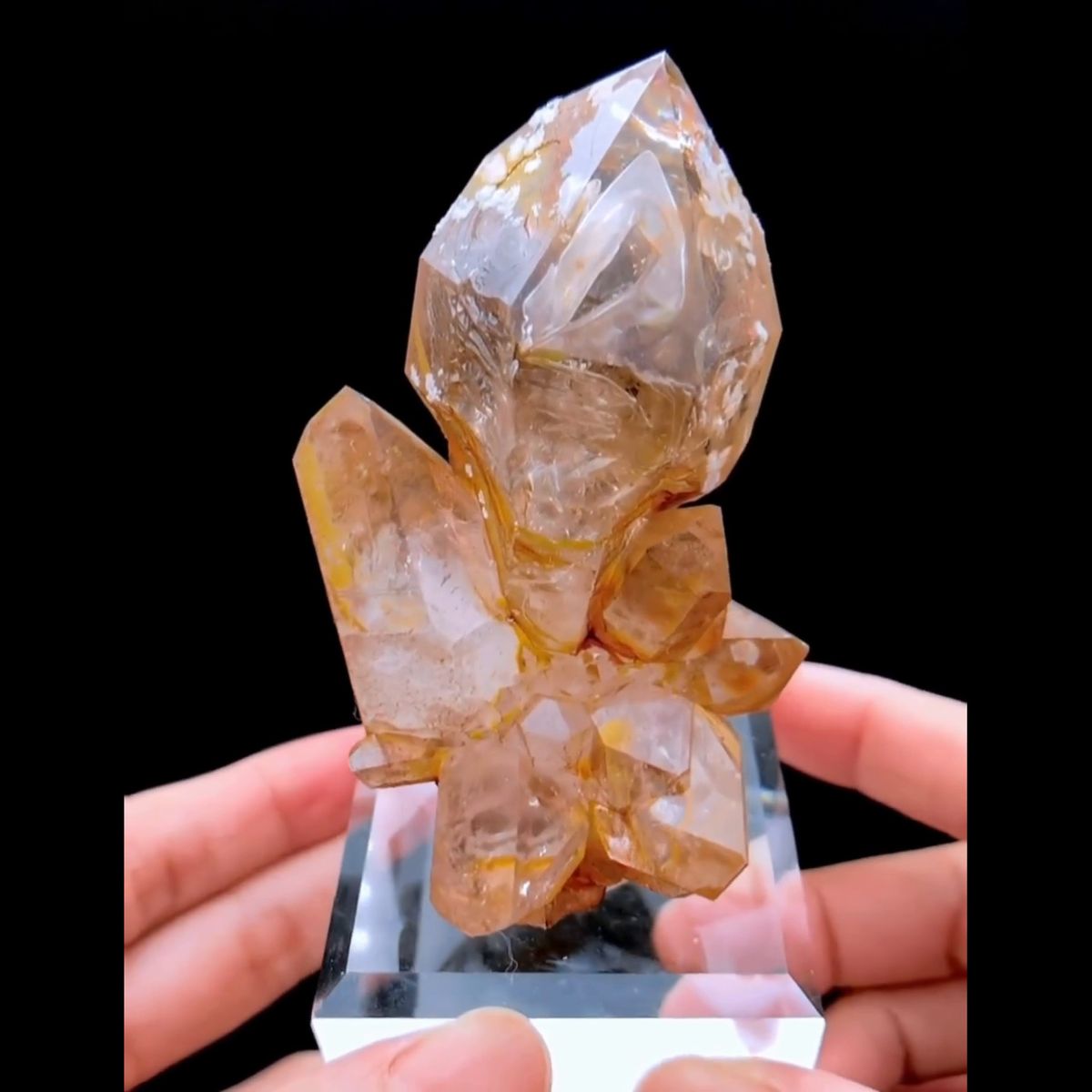 Large skeletal quartz flower from Namibia — complete view