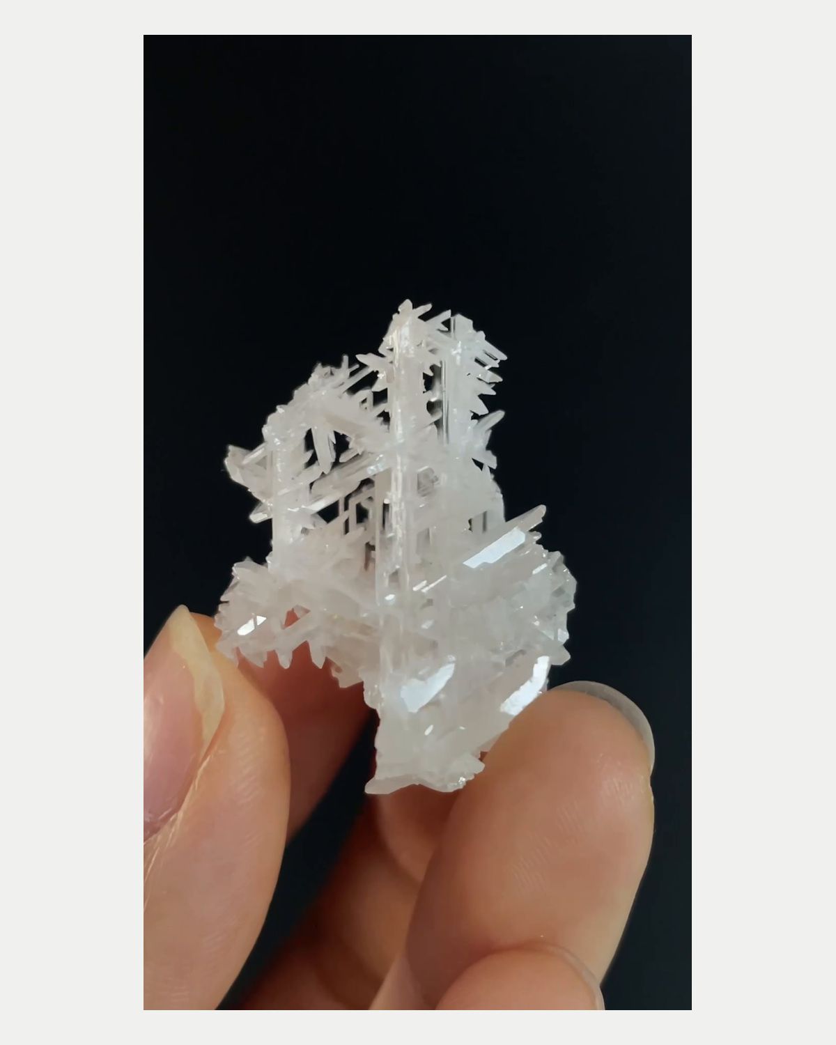 Complete front view of snowflake cerussite crystal cluster