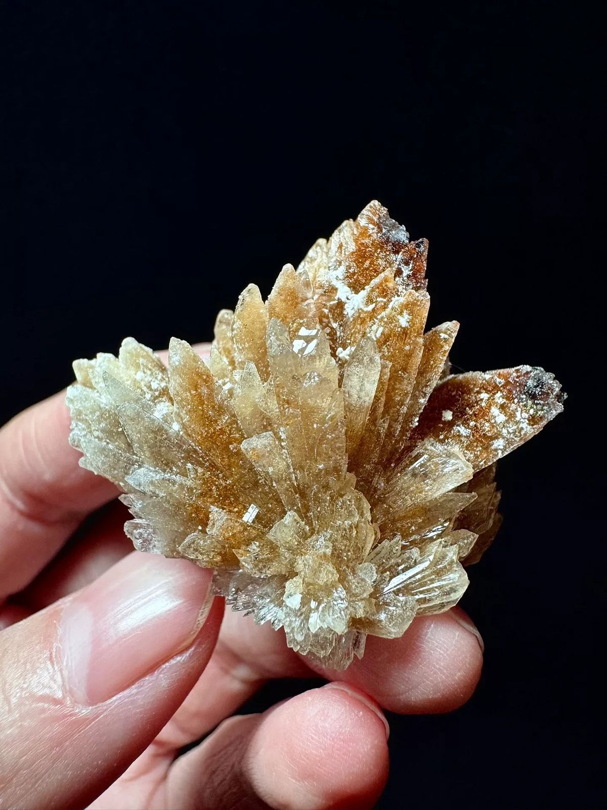 Fan-Spray Gypsum Rosette Cluster — Guizhou — individual mineral specimen view 1