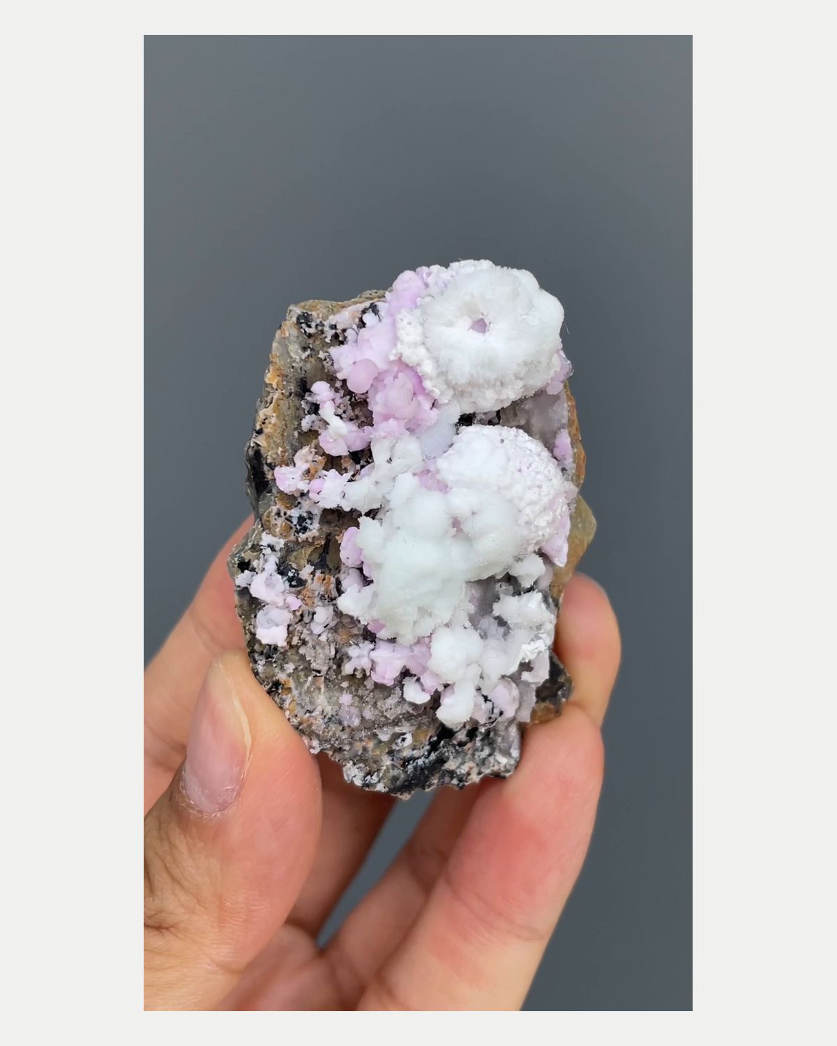 Complete front view of bicolor aragonite cluster