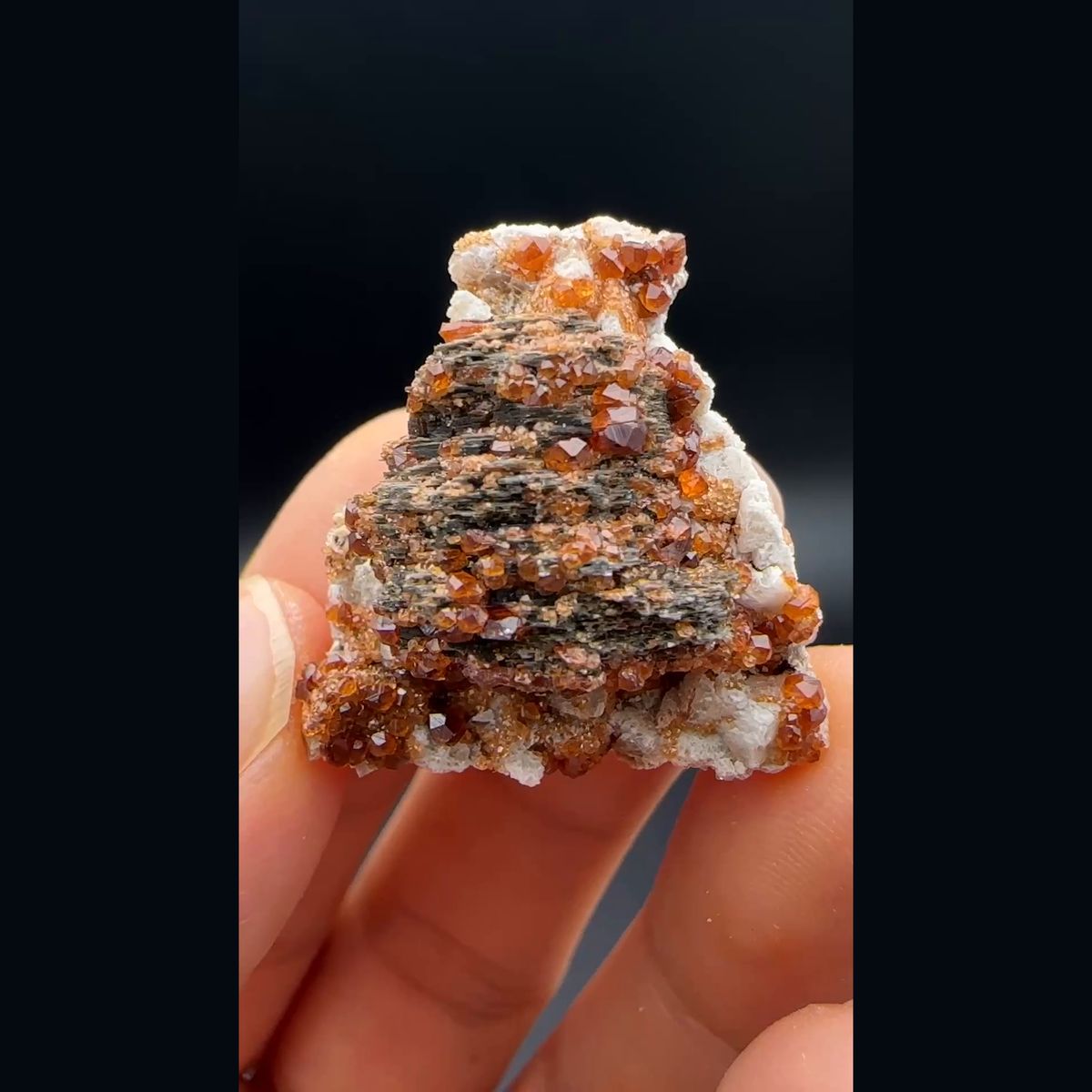 Dark clinochlore with orange spessartine garnets from Yunxiao, Fujian — complete view