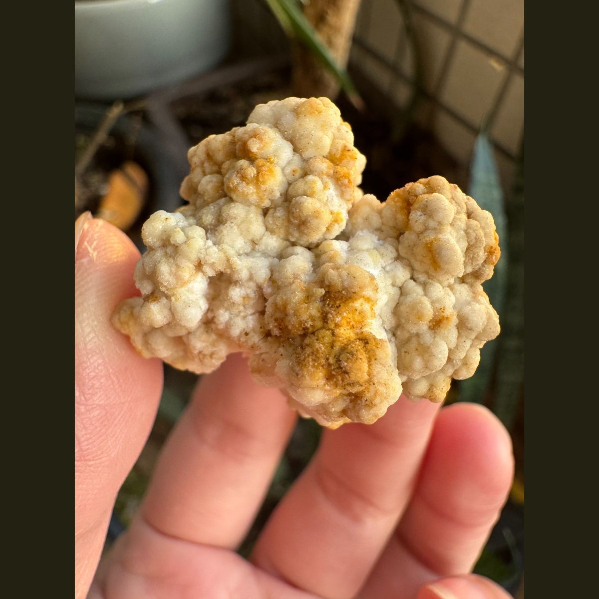 Off-white gypsum popcorn aggregate from Guizhou, China, natural mineral specimen, photo 1 of 5