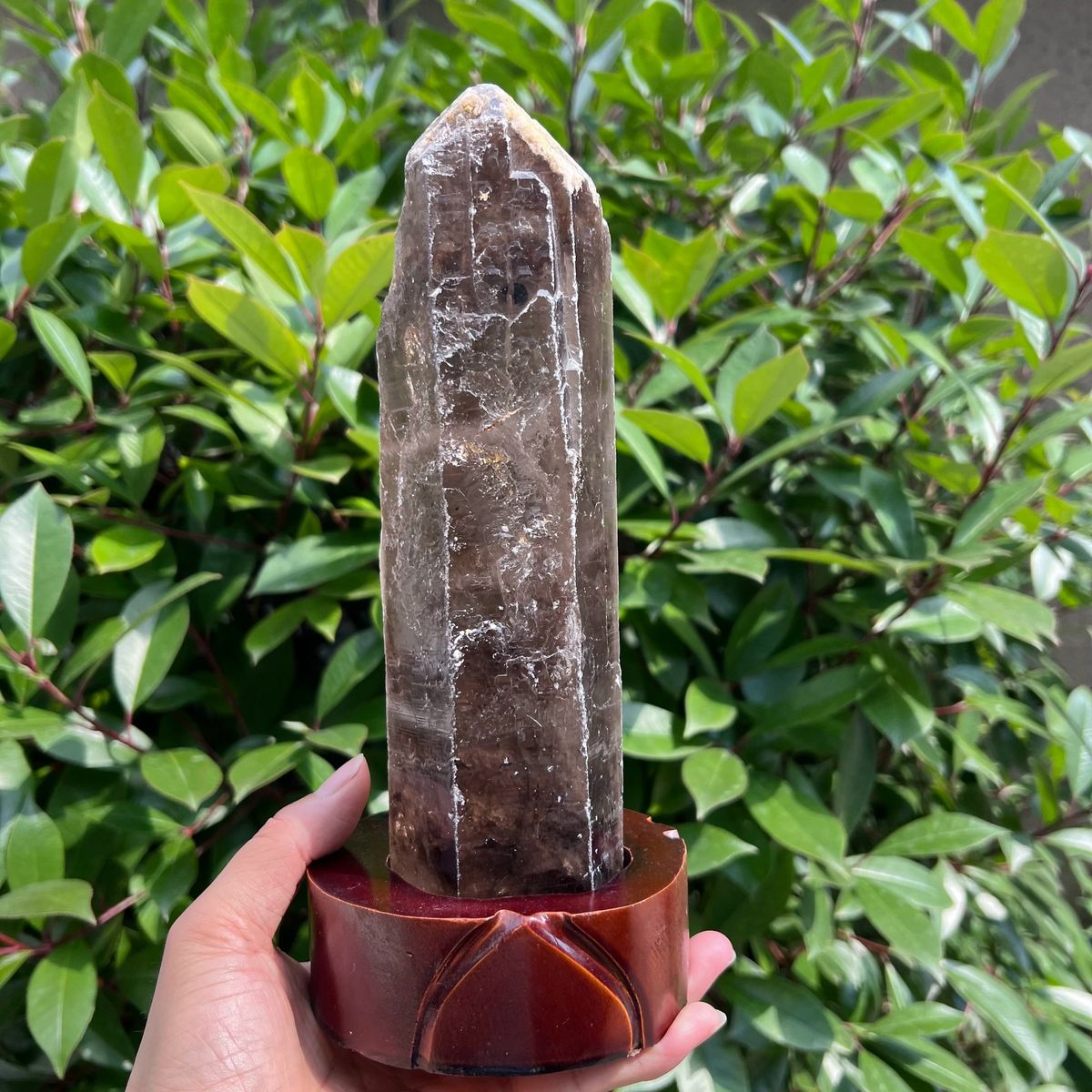 Tall Brazilian smoky quartz point standing on a round dark red stand