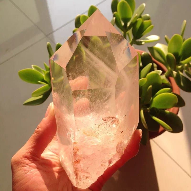Himalayan quartz point held beside a jade plant, rough base with rust staining