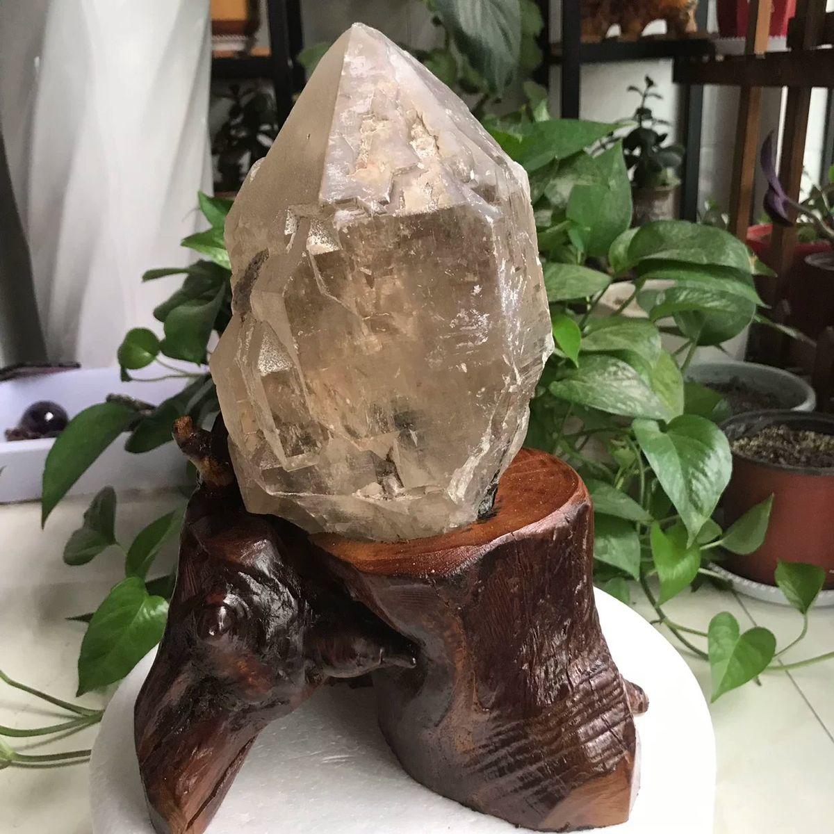 Pale yellow skeletal quartz standing on a carved root-wood stand