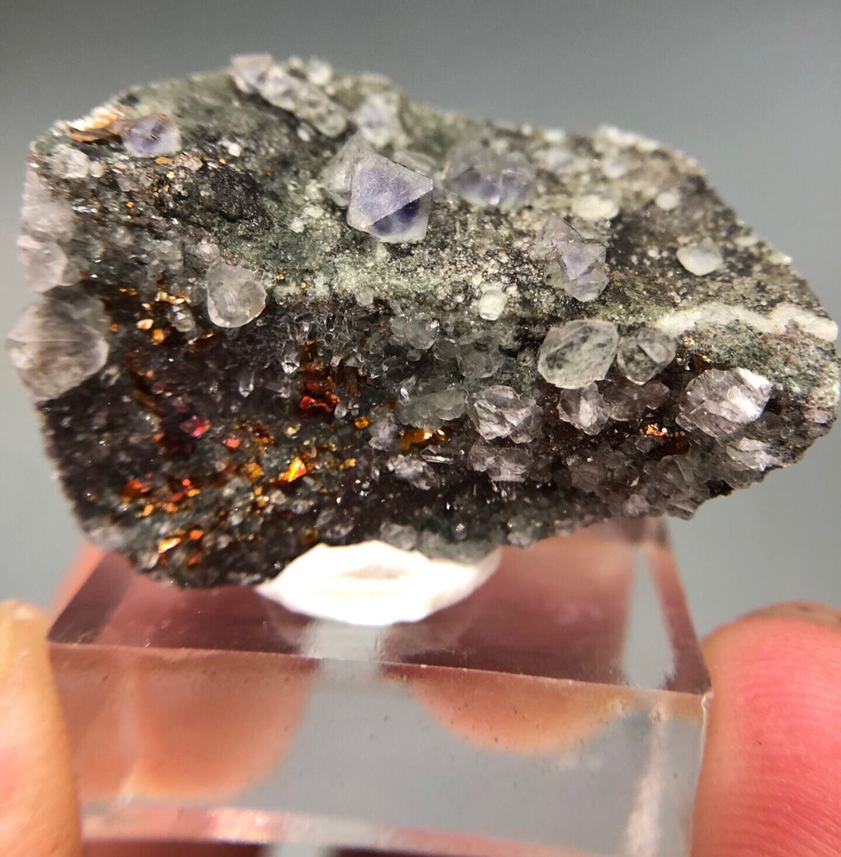 Fluorite from Fujian, China, individual mineral specimen view 1