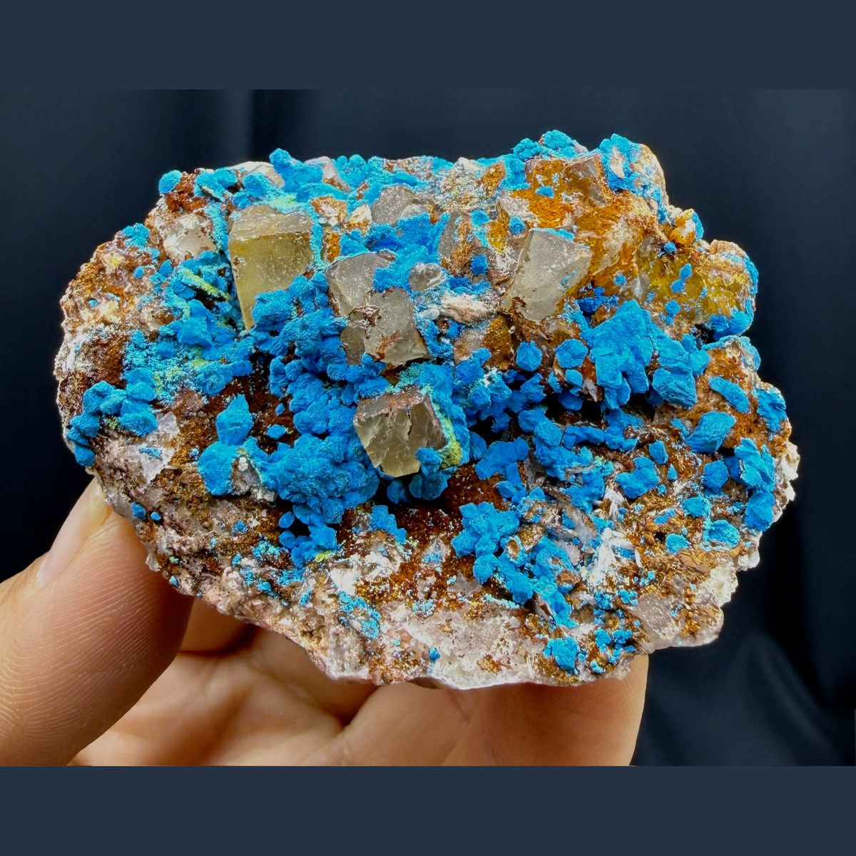 Blue chrysocolla with fluorite cubes from DR Congo — complete view