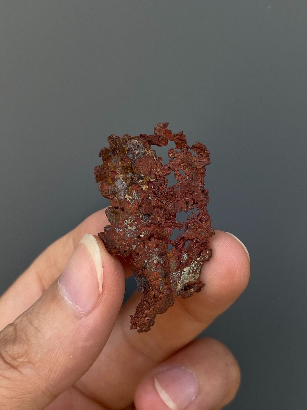 Lacy branching native copper sheet from Hubei, China, held in hand