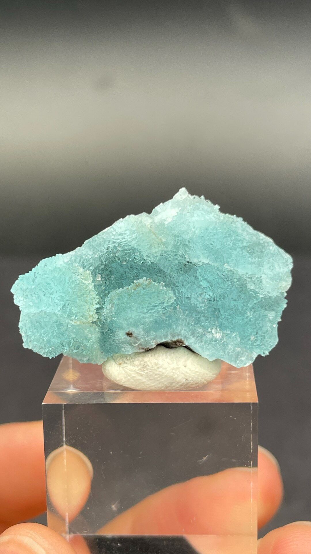 Turquoise botryoidal hemimorphite crust from Guangdong, China, on a stand