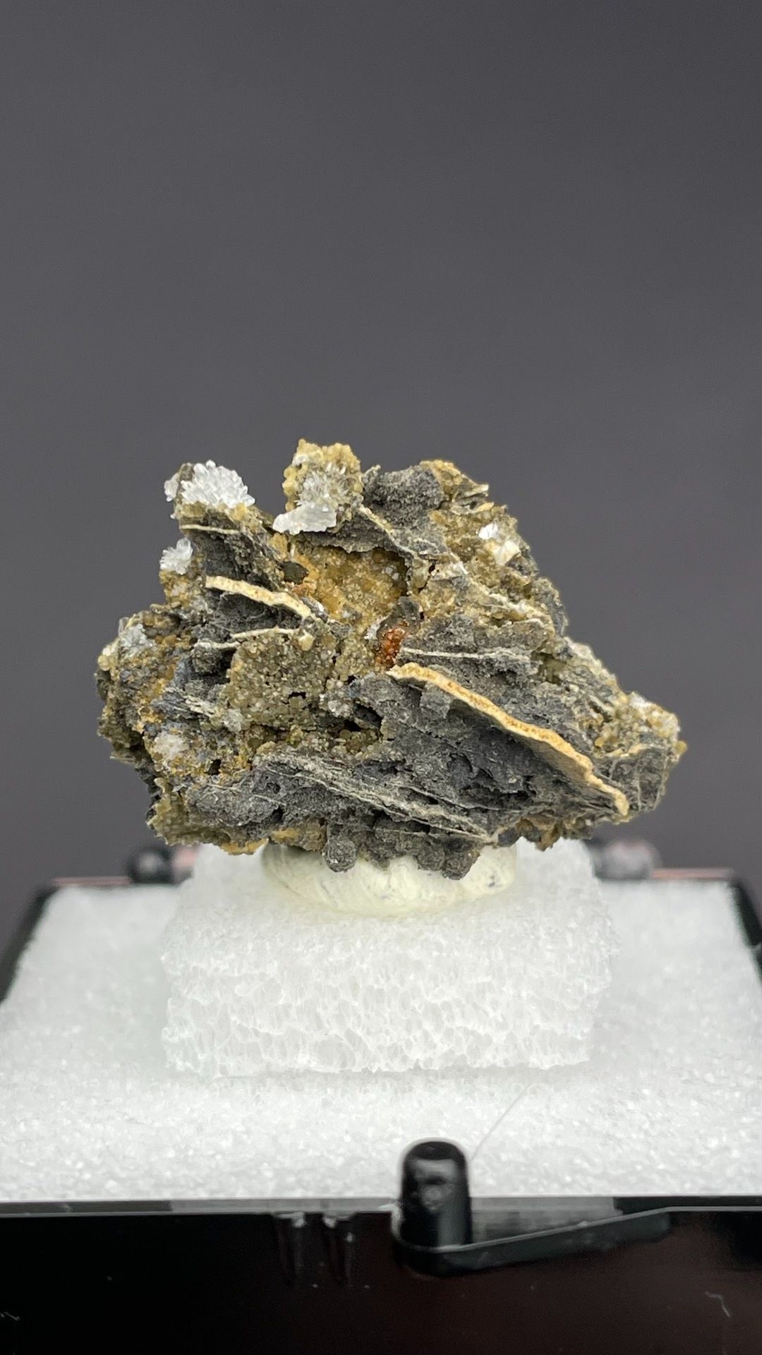 White bladed hemimorphite flowers on dark matrix from Guangxi, China, in a box
