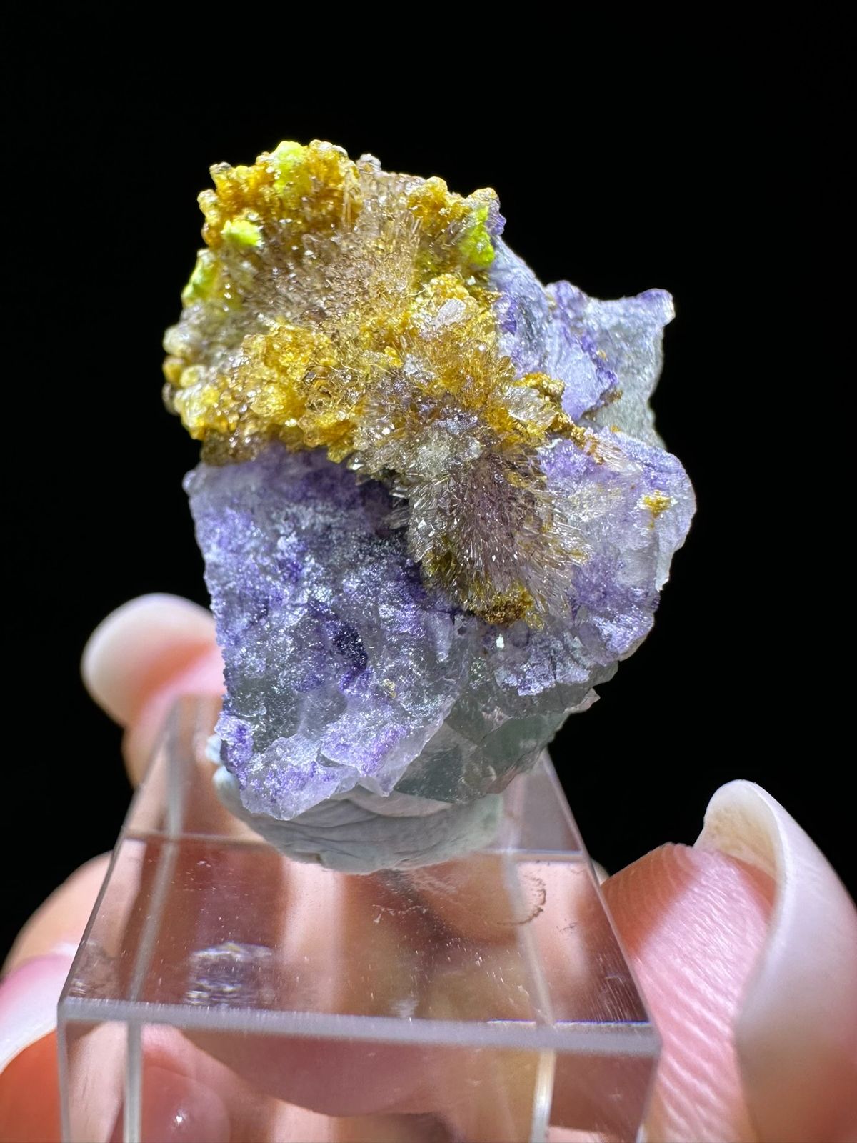 Fluorite, individual mineral specimen view 1 for a mineral collection