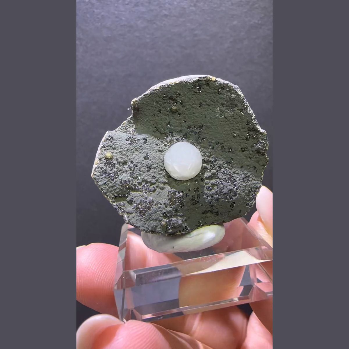 White Calcite Sphere on Gray Green Matrix — 30 mm - complete view