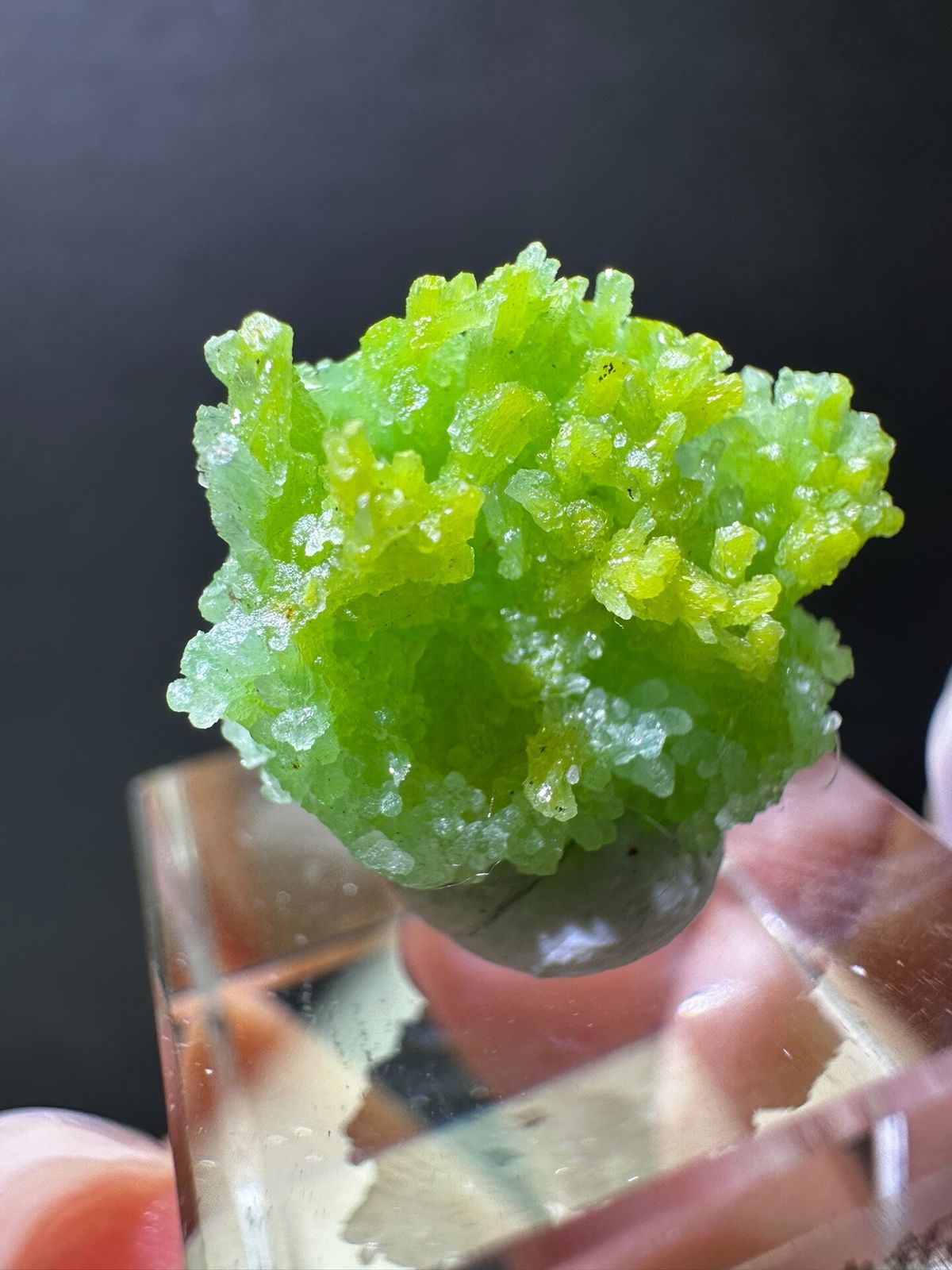 Pyromorphite from Shizhuyuan, Hunan, China, individual mineral specimen view 1