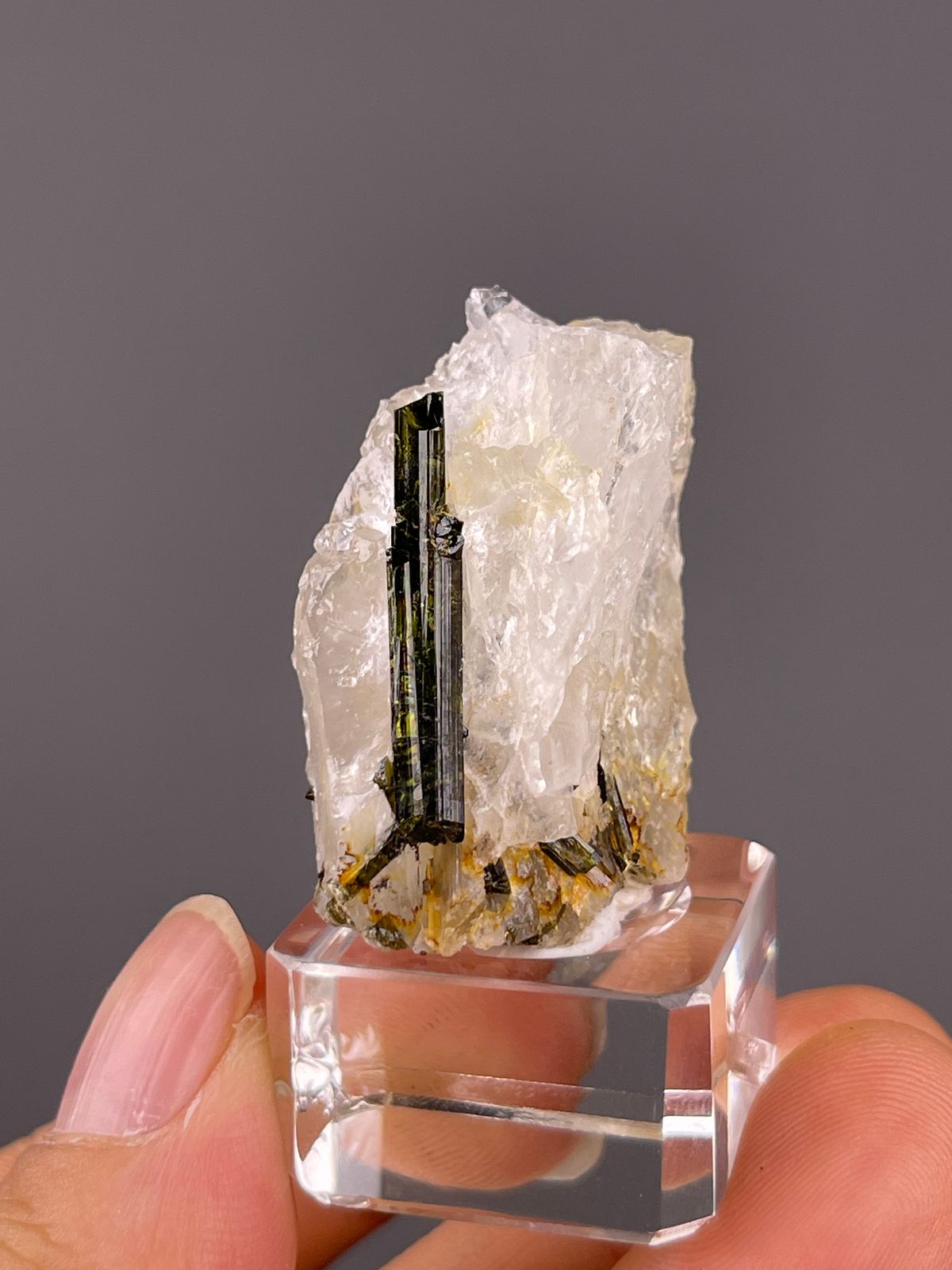 Tourmaline with quartz from Brazil: long dark green crystal along a white quartz face.