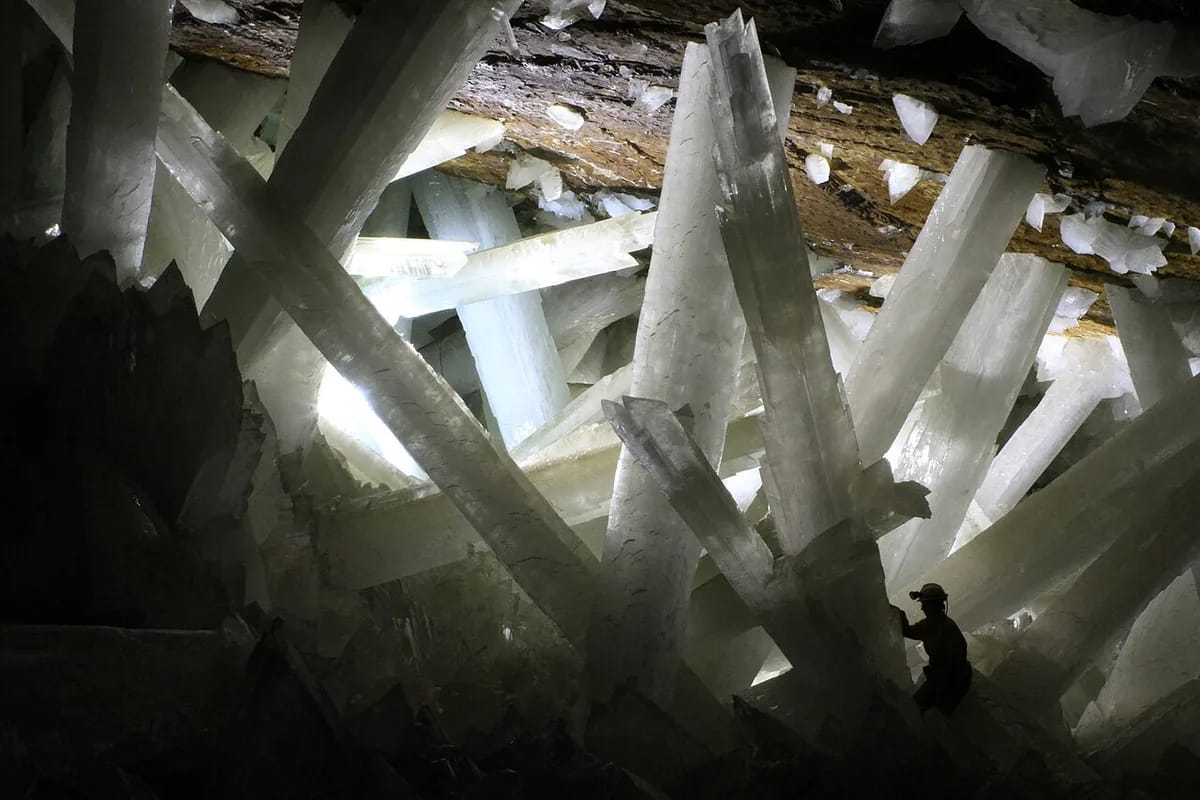 Gypsum from Naica, Mexico