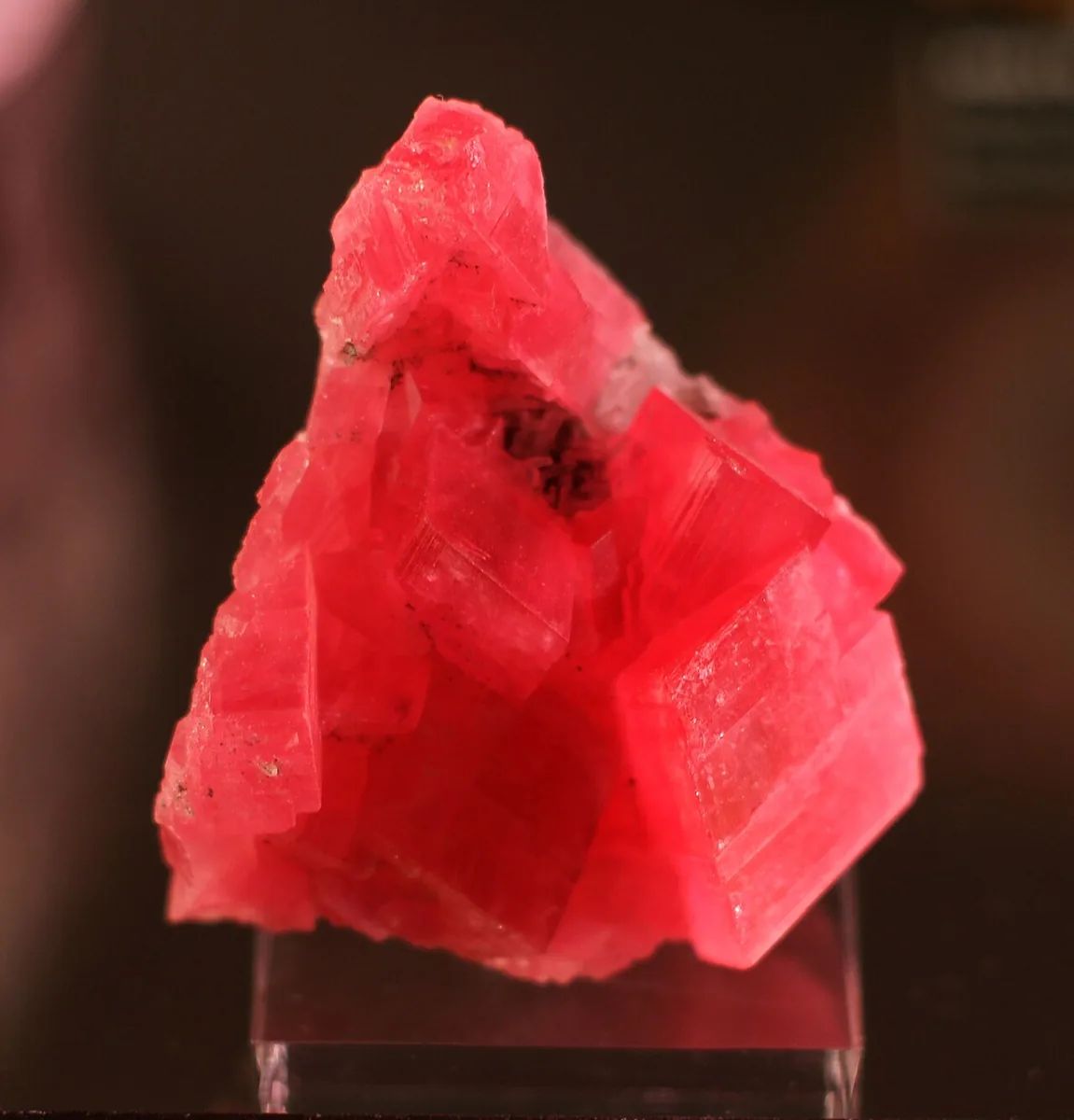 Rhodochrosite from Sweet Home Mine, USA
