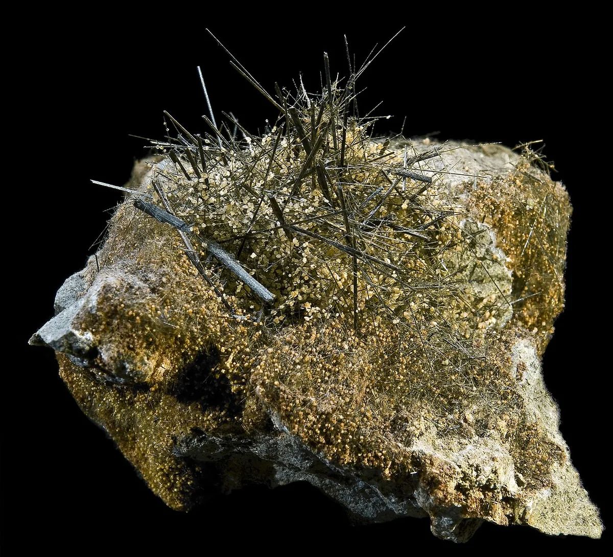 Actinolite specimen