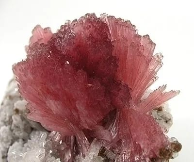 Inesite specimen
