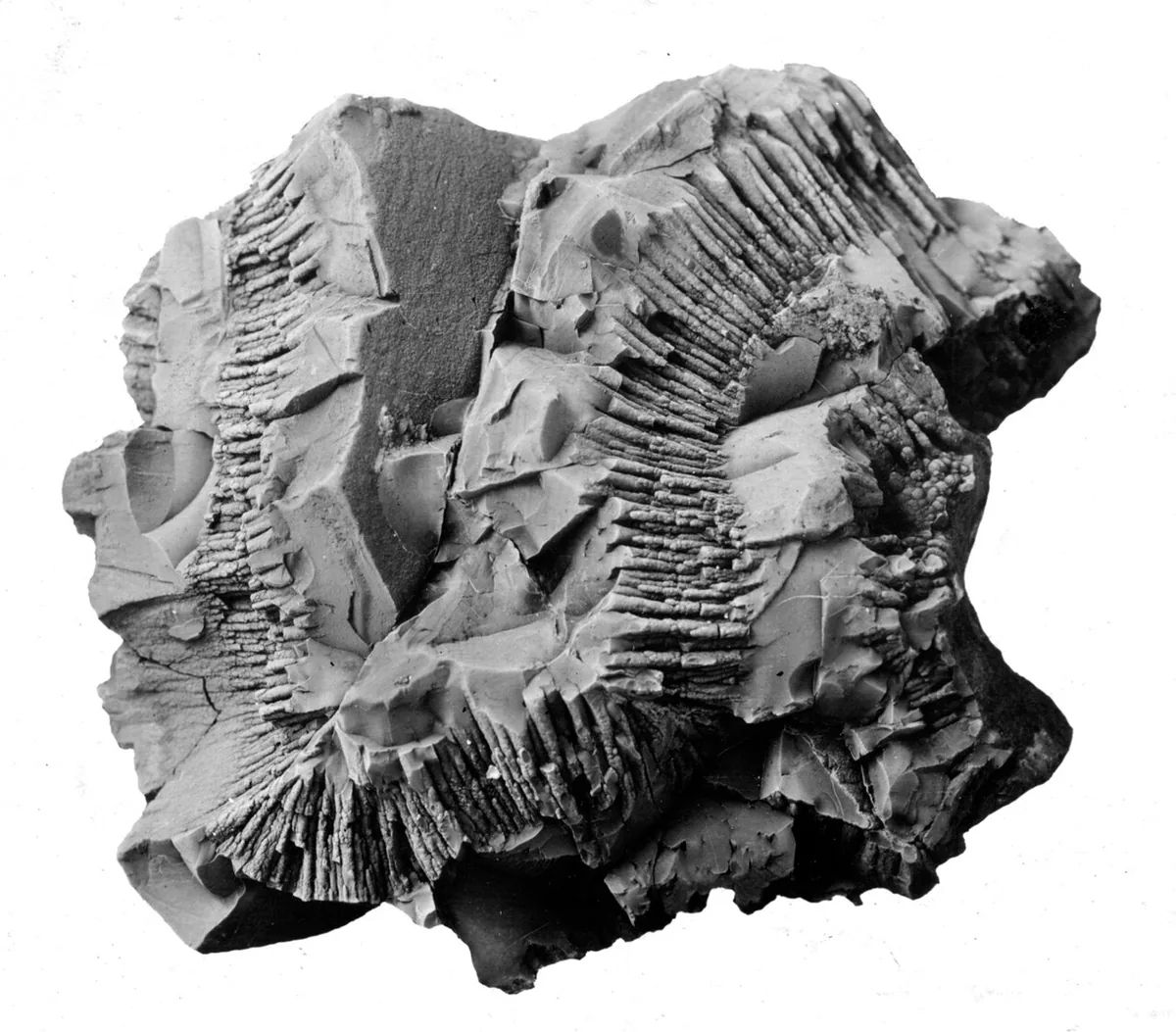 Pyrolusite specimen
