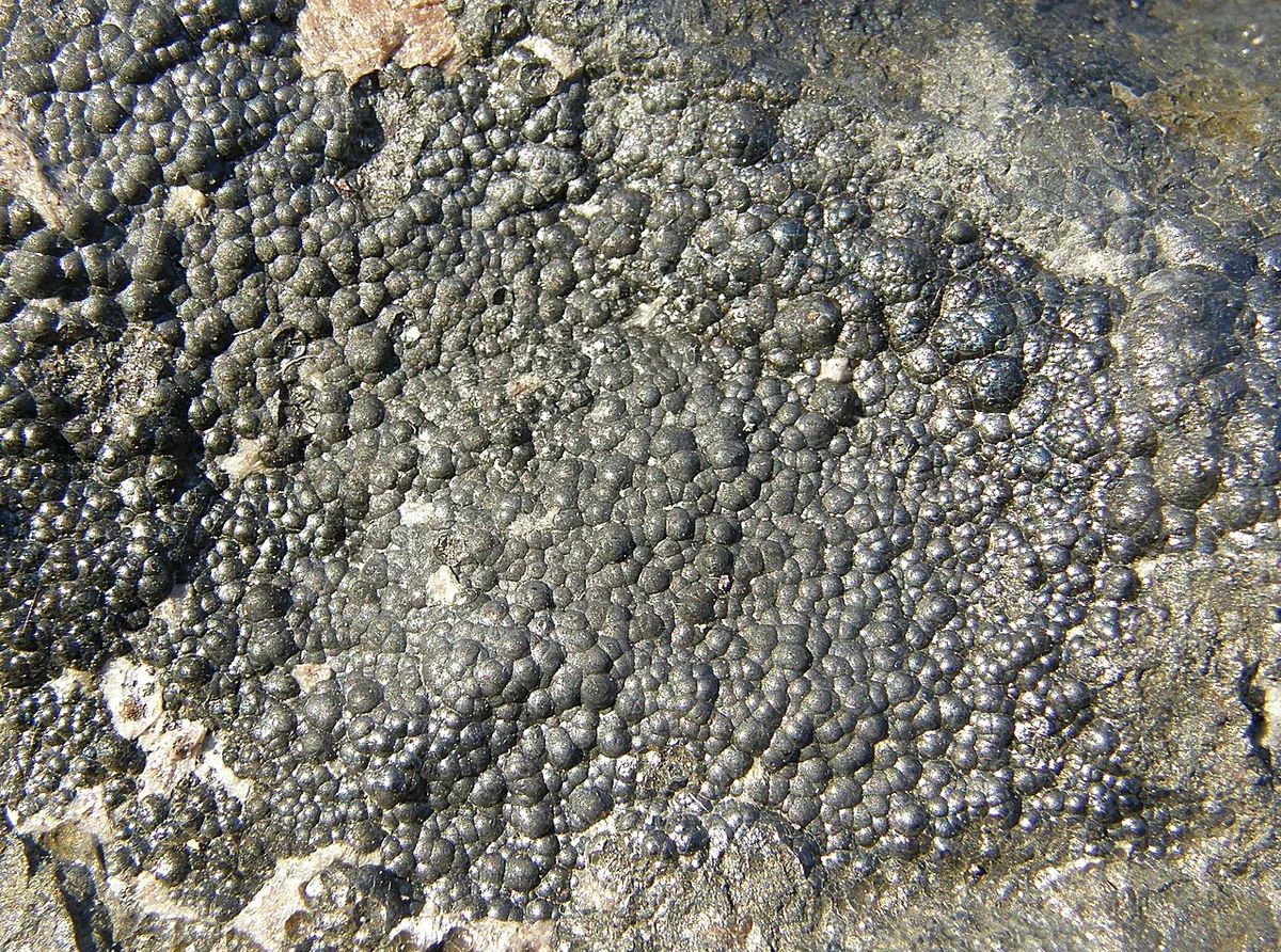 Uraninite specimen